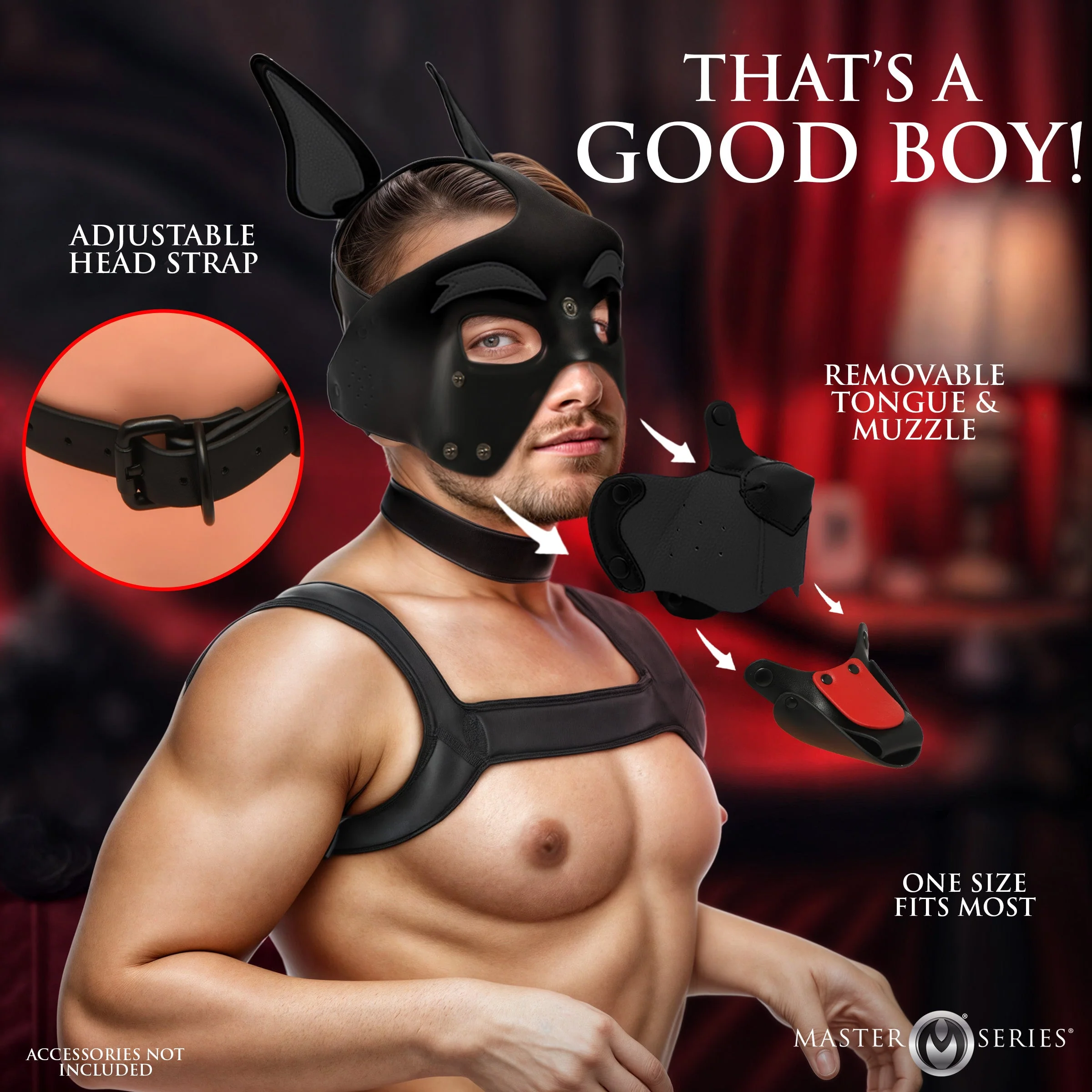 Master Series Alpha Dog Pup Hood - Black - Image 4