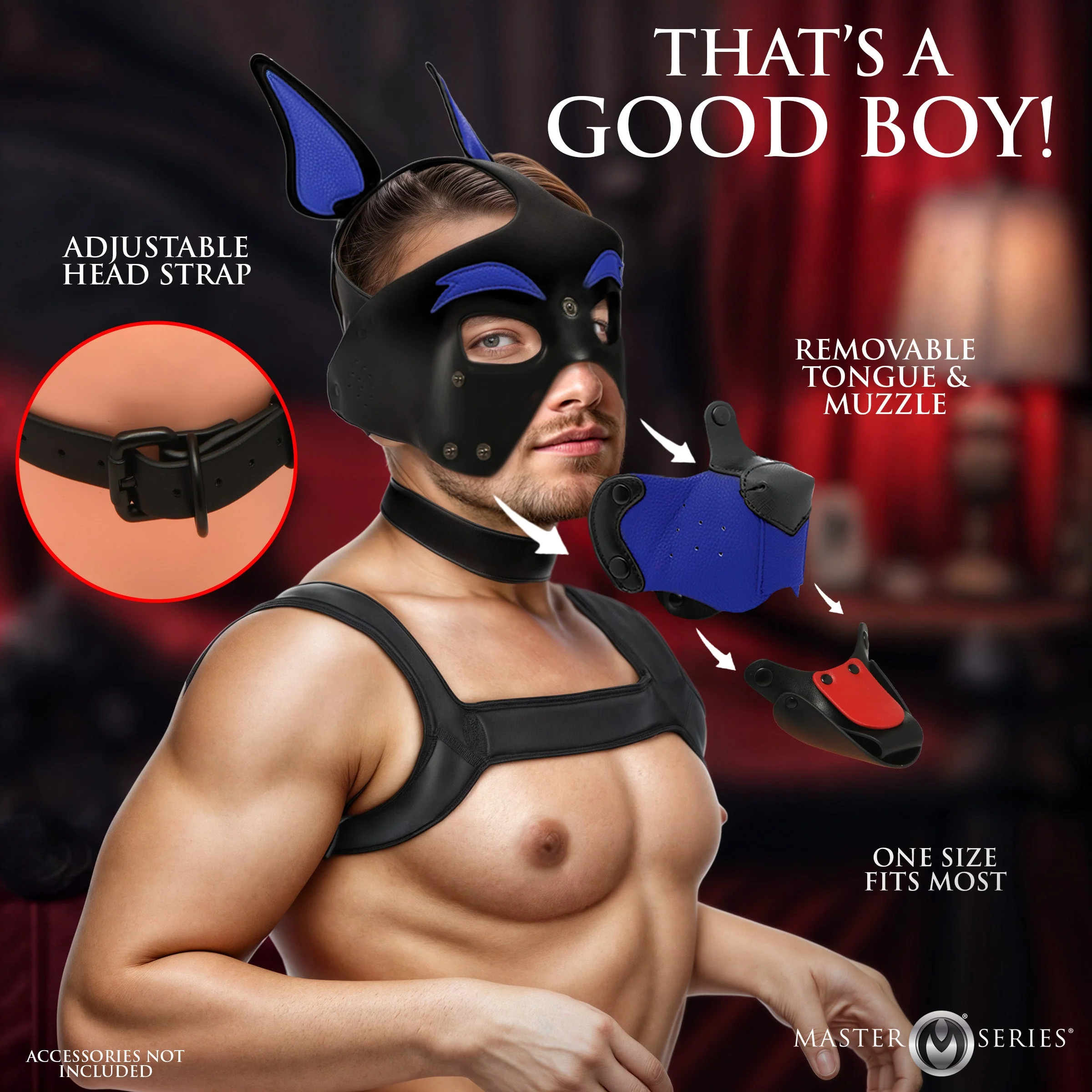Master Series Alpha Dog Pup Hood - Blue - Image 4