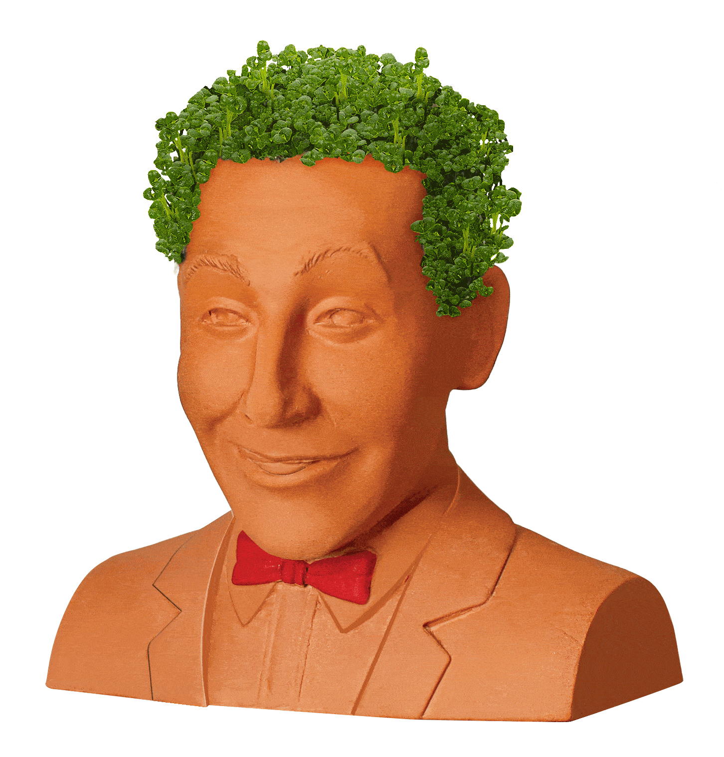 PEE-WEE HERMAN CHIA PET - Image 2