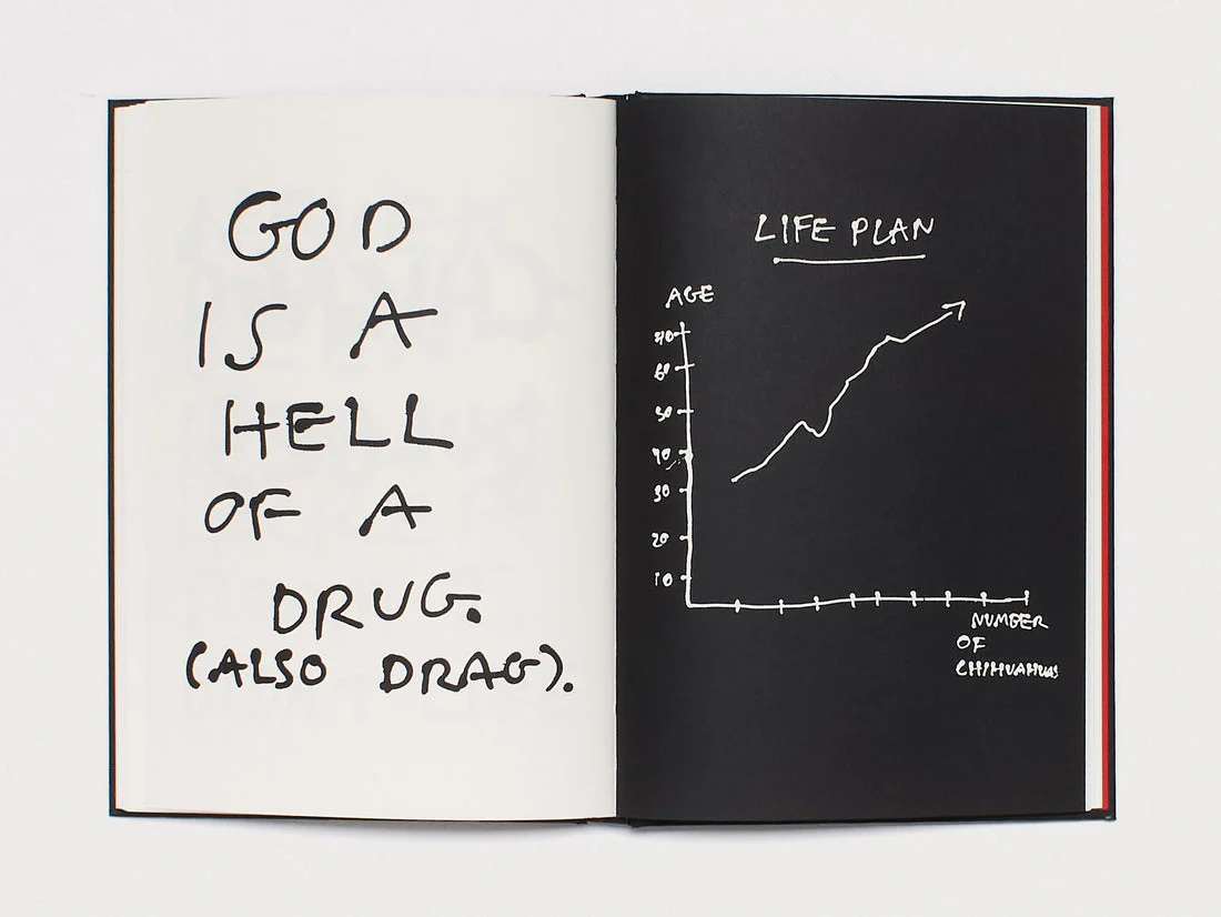 Pepo Moreno , Gay Thoughts - Image 6