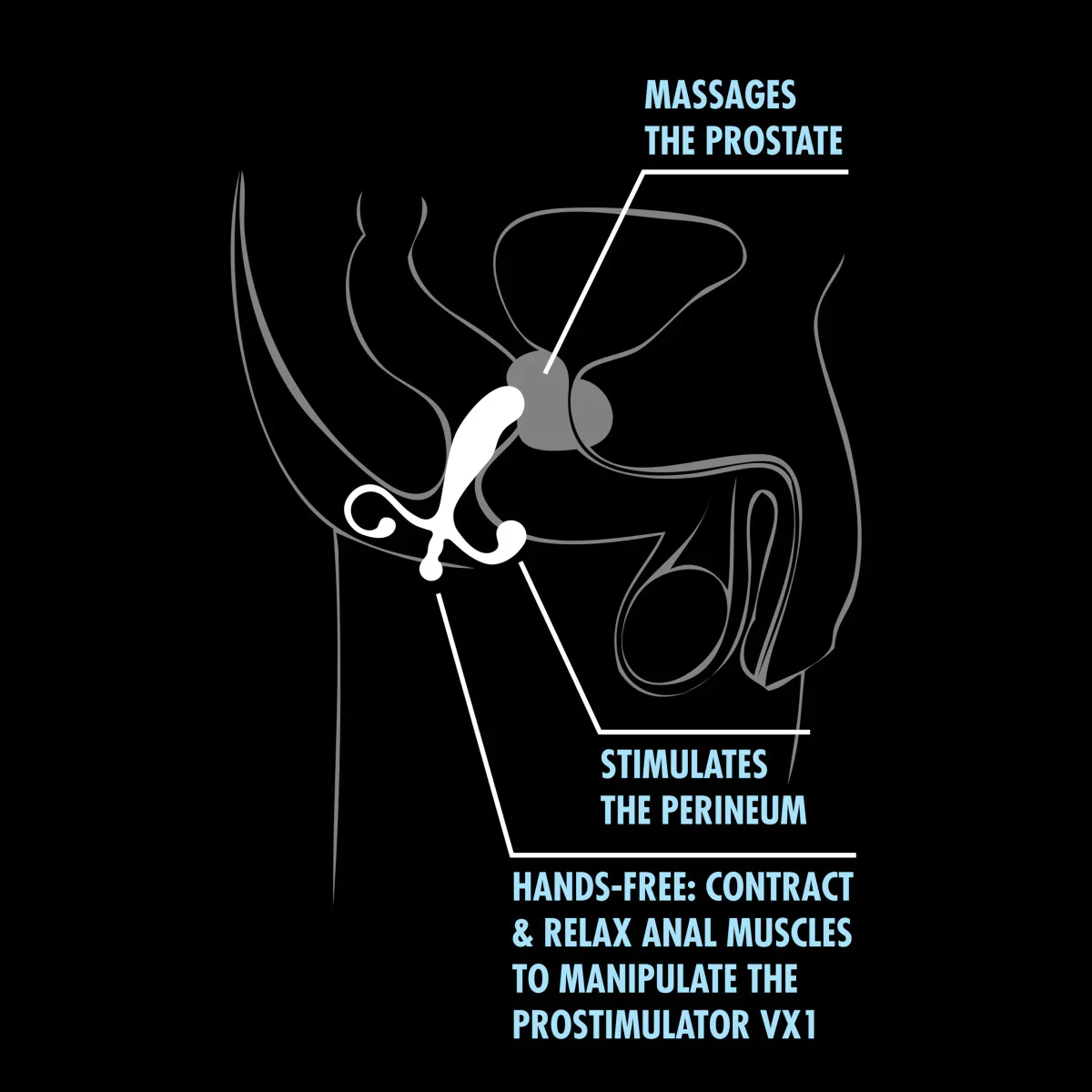 Performance Prostimulator VX1 Black 5-Inch Anal Plug - Image 4