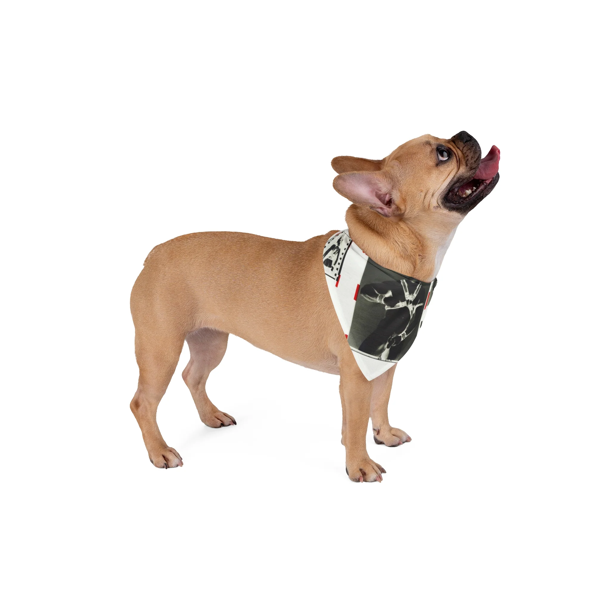 90S VINTAGE GAY PORN TRANSPARENCY Pet Bandana - Image 5