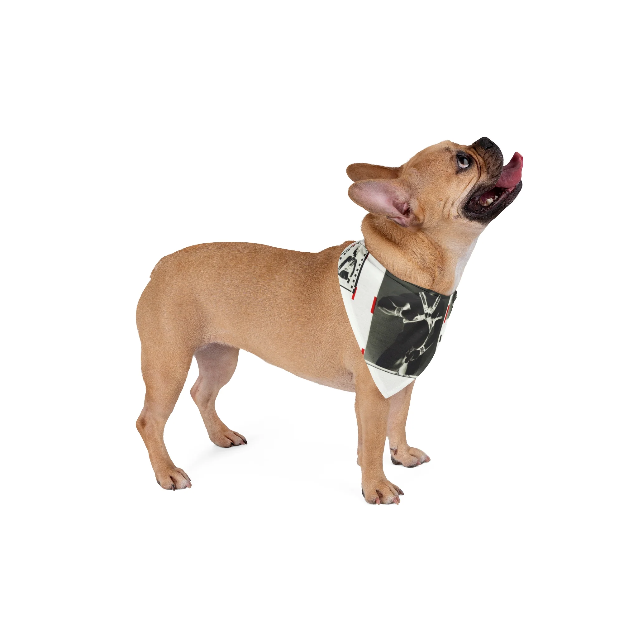 90S VINTAGE GAY PORN TRANSPARENCY Pet Bandana - Image 8
