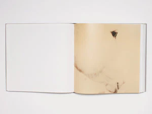 Pierre Keller: My Colorful Life - Image 4