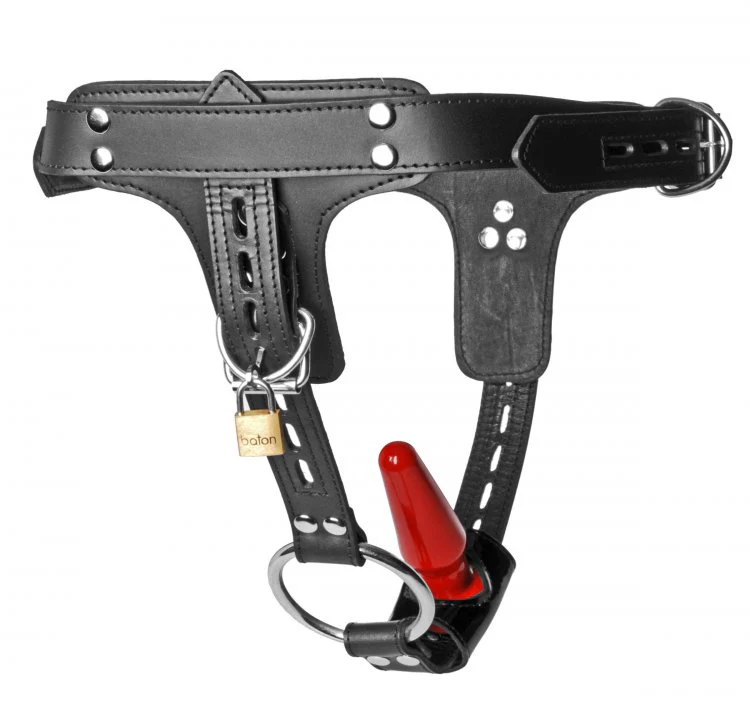 Premium Locking Leather Cock Ring and Anal Plug Harness by Strict Leather - Image 3