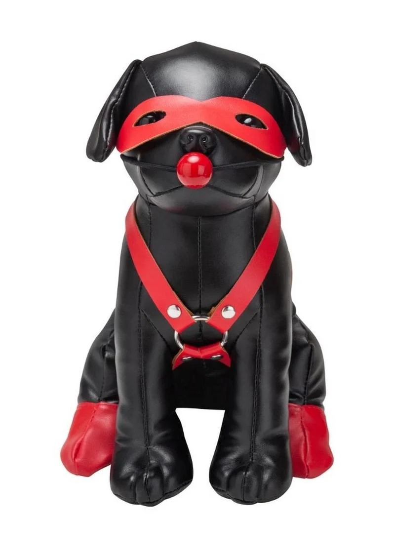 Booted Up Bandit Pup - Image 3