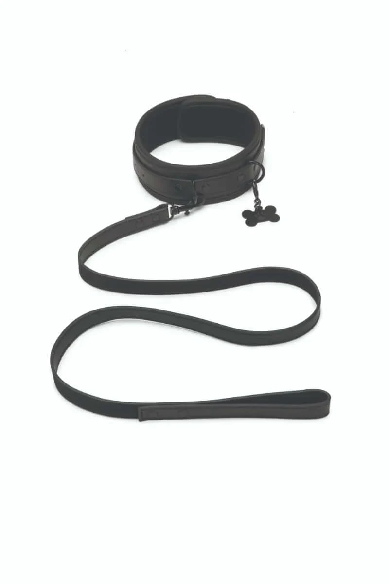 Prowler RED Collar and Leash - Image 2