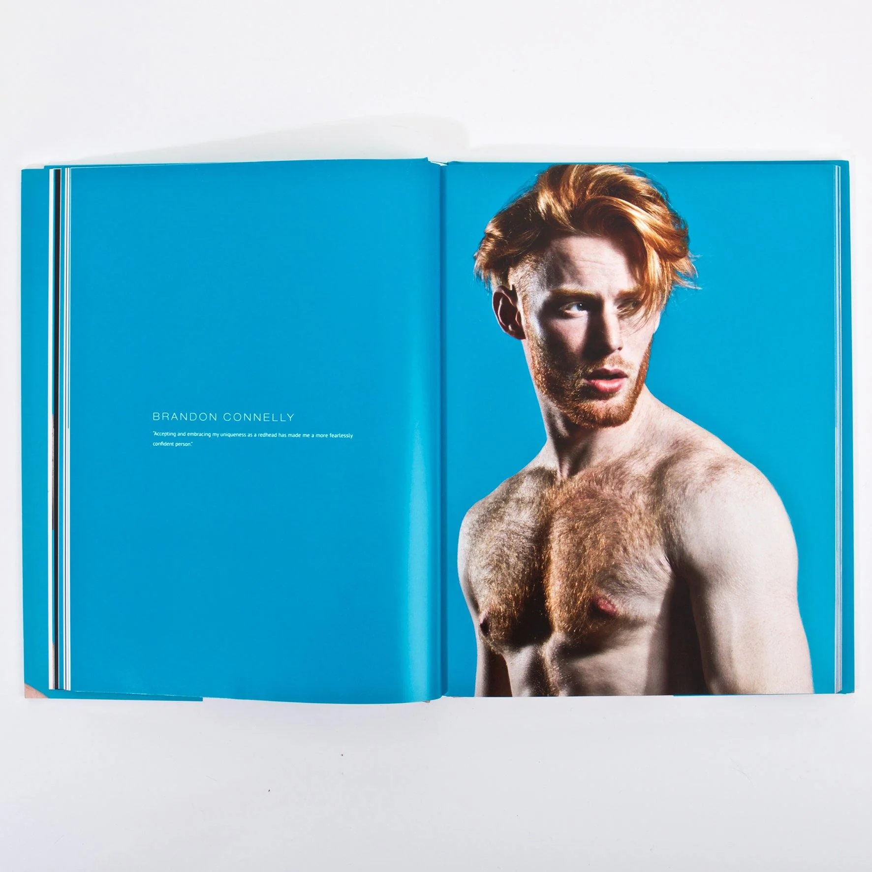 Red Hot 100 Art Book - Image 2