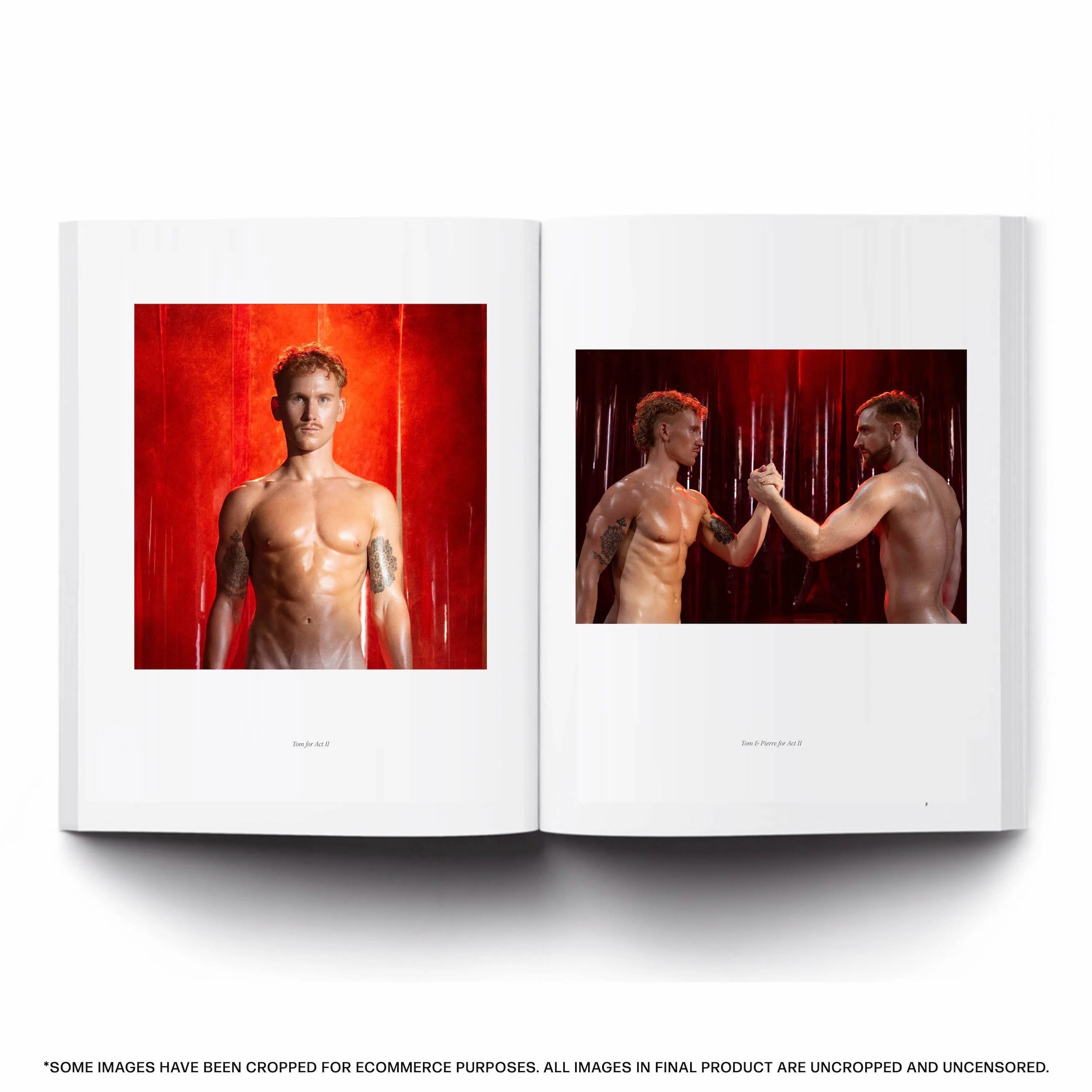 Red Hot X Art Book - Image 11