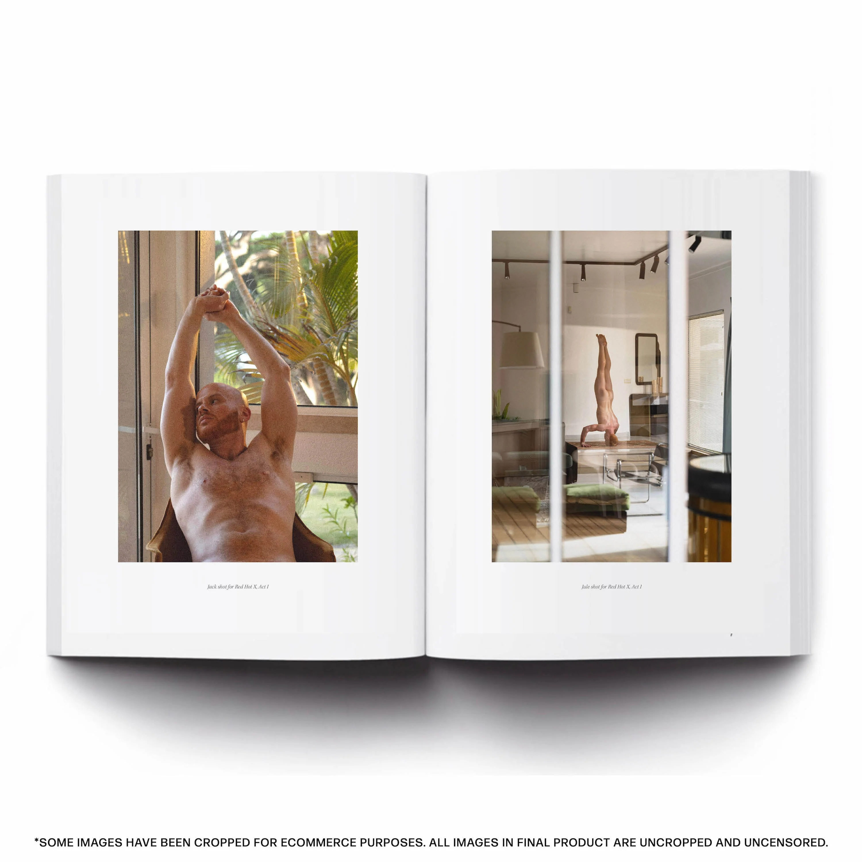 Red Hot X Art Book - Image 14