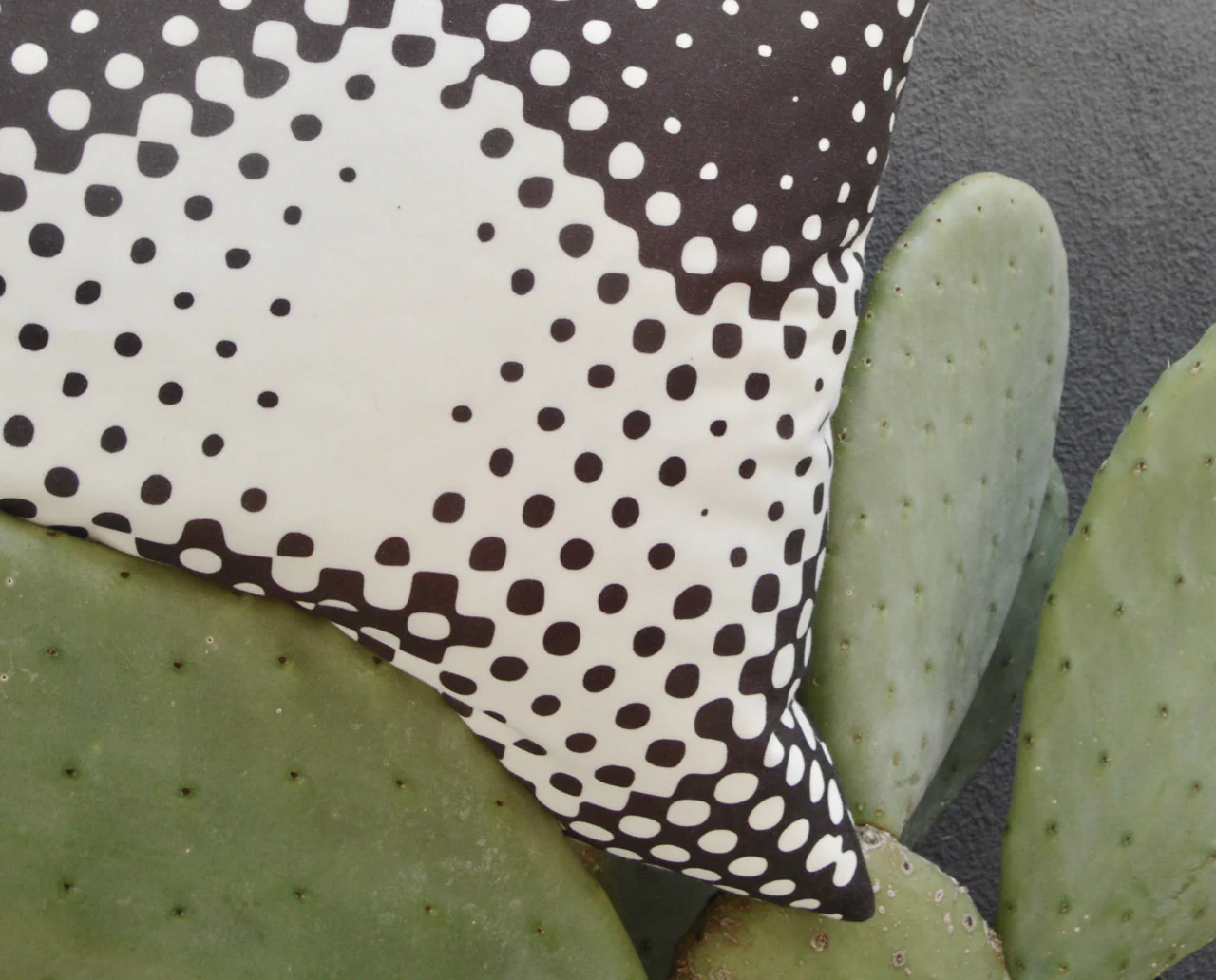 Richard Phillips Pillow for Henzel Studio - Image 4