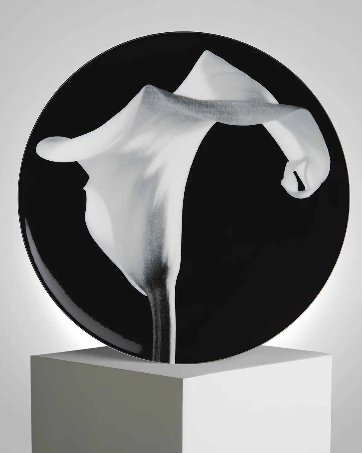ROBERT MAPPLETHORPE "Calla Lily" PLATE - Image 5