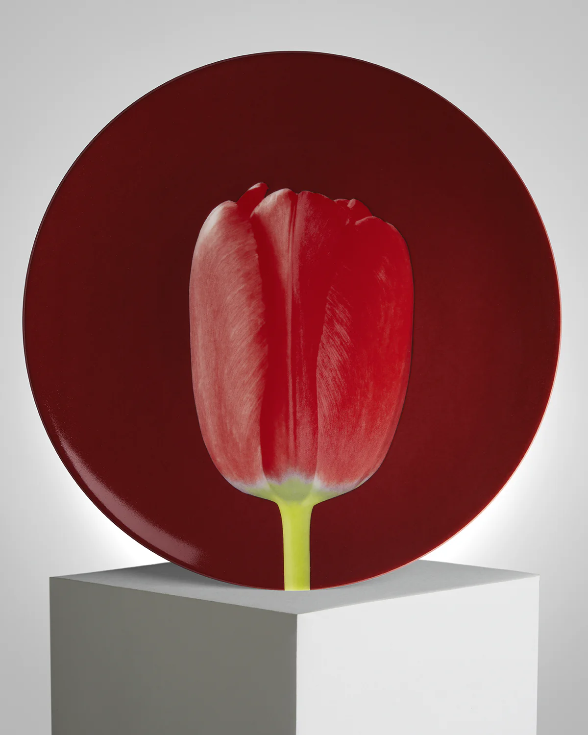 ROBERT MAPPLETHORPE "Red Tulip" PLATE - Image 2