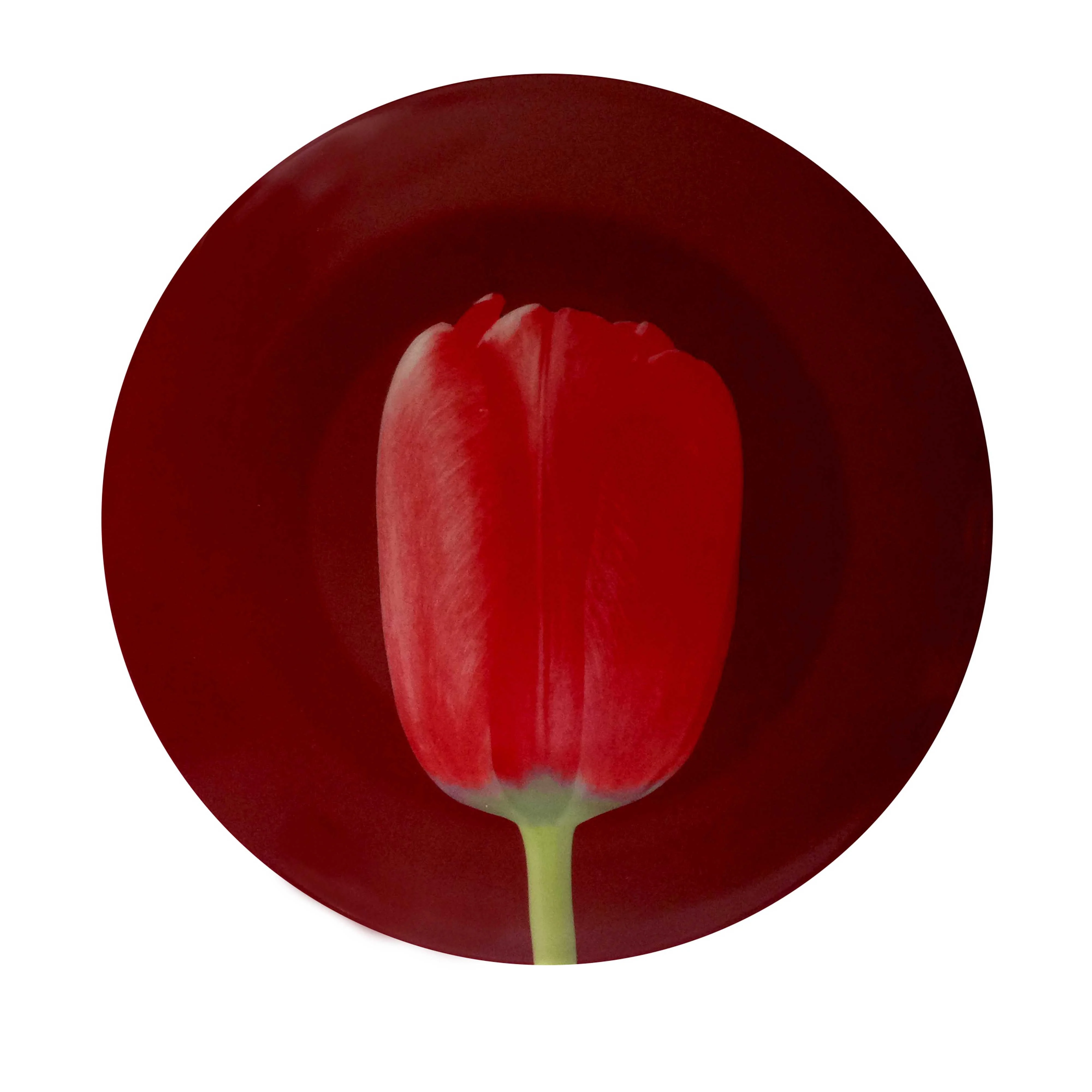 ROBERT MAPPLETHORPE "Red Tulip" PLATE - Image 3