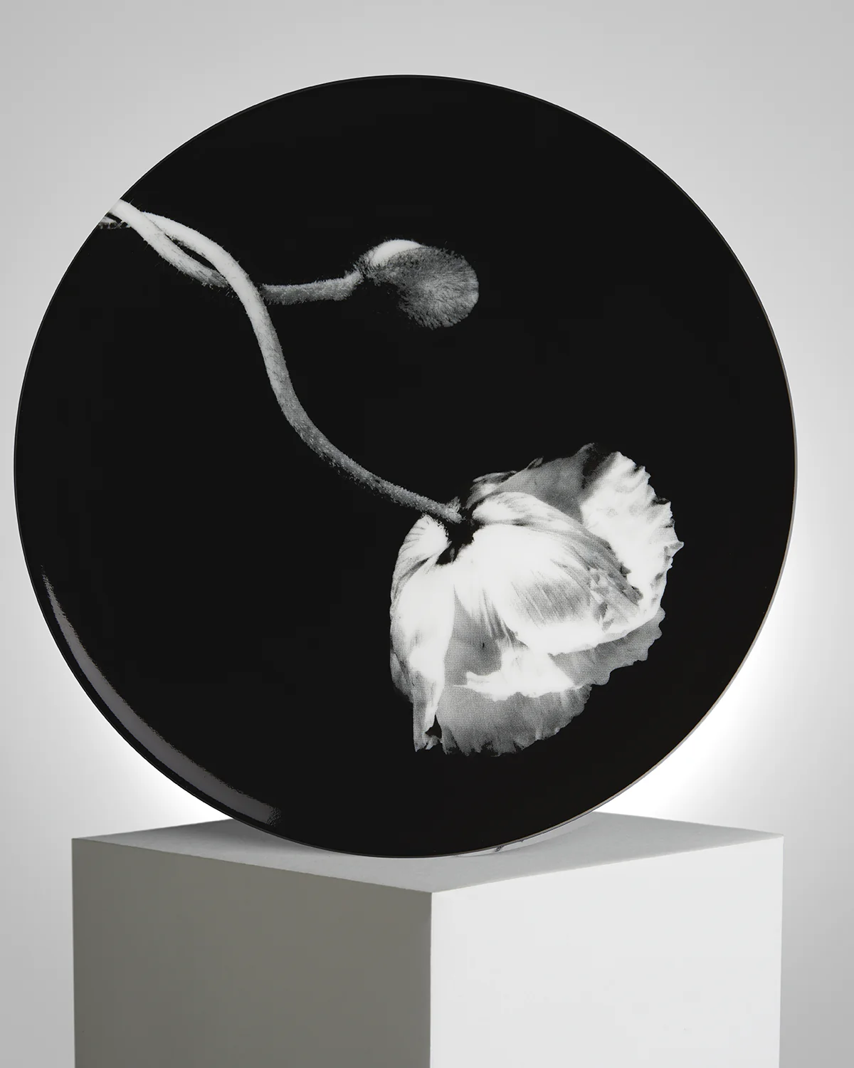 ROBERT MAPPLETHORPE "Poppy" PLATE - Image 2
