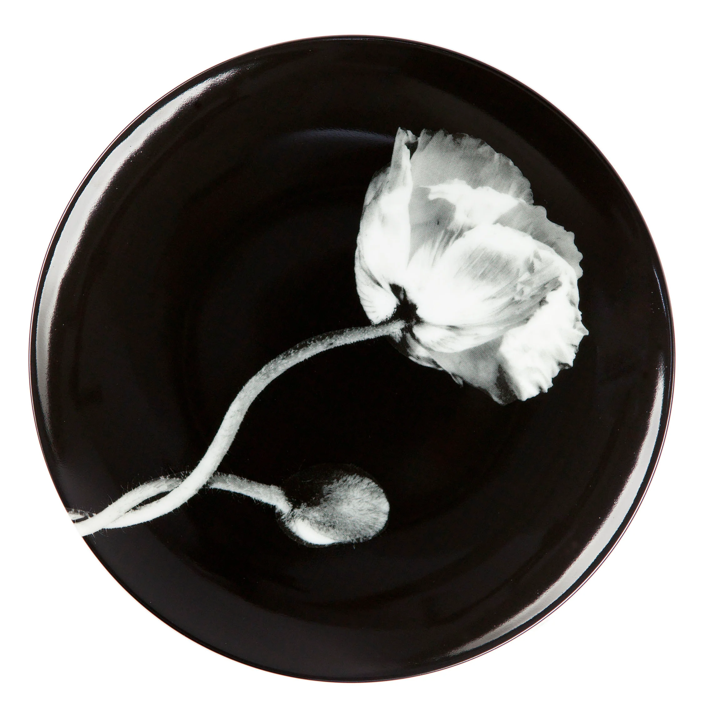 ROBERT MAPPLETHORPE "Poppy" PLATE - Image 5