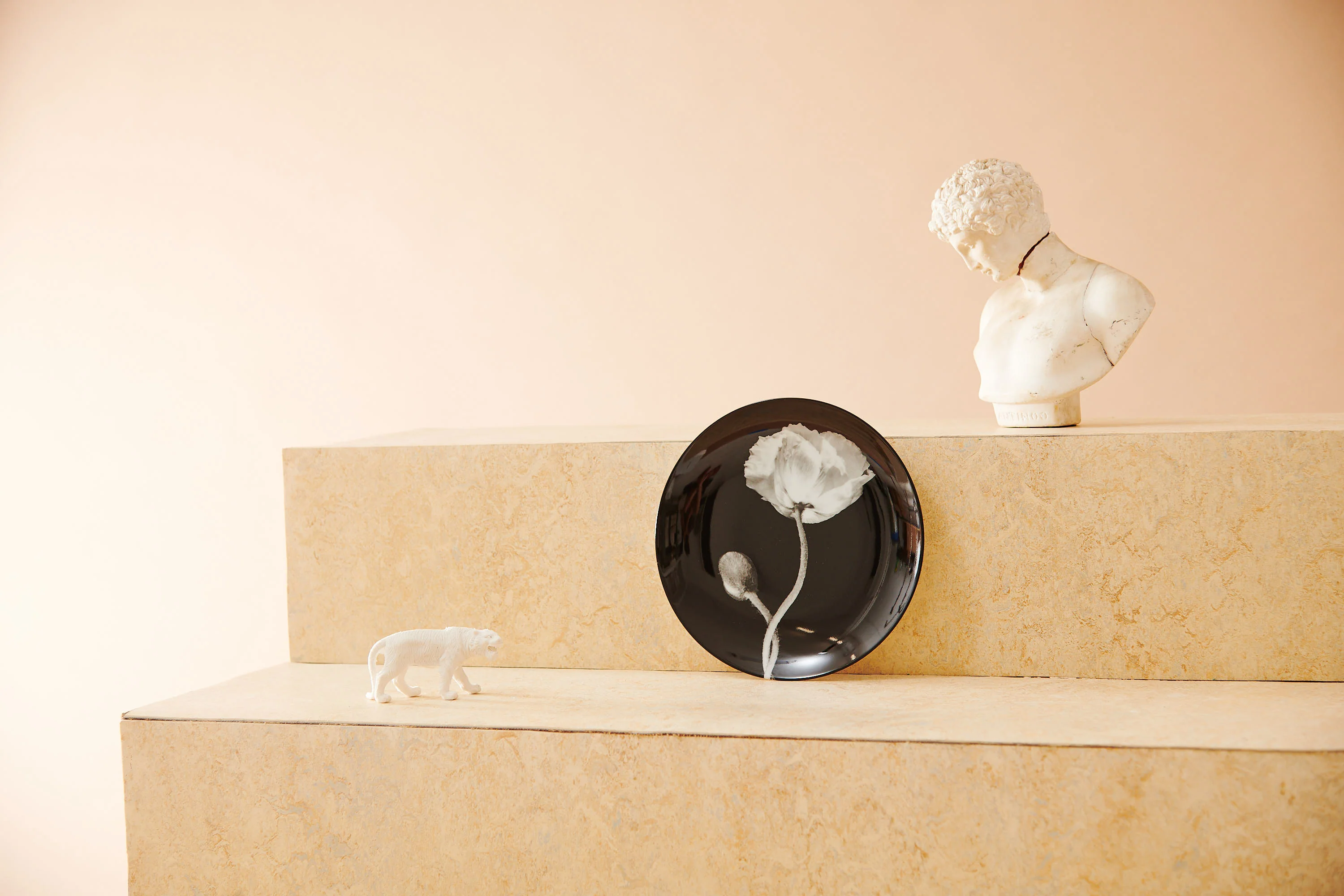 ROBERT MAPPLETHORPE "Poppy" PLATE - Image 6