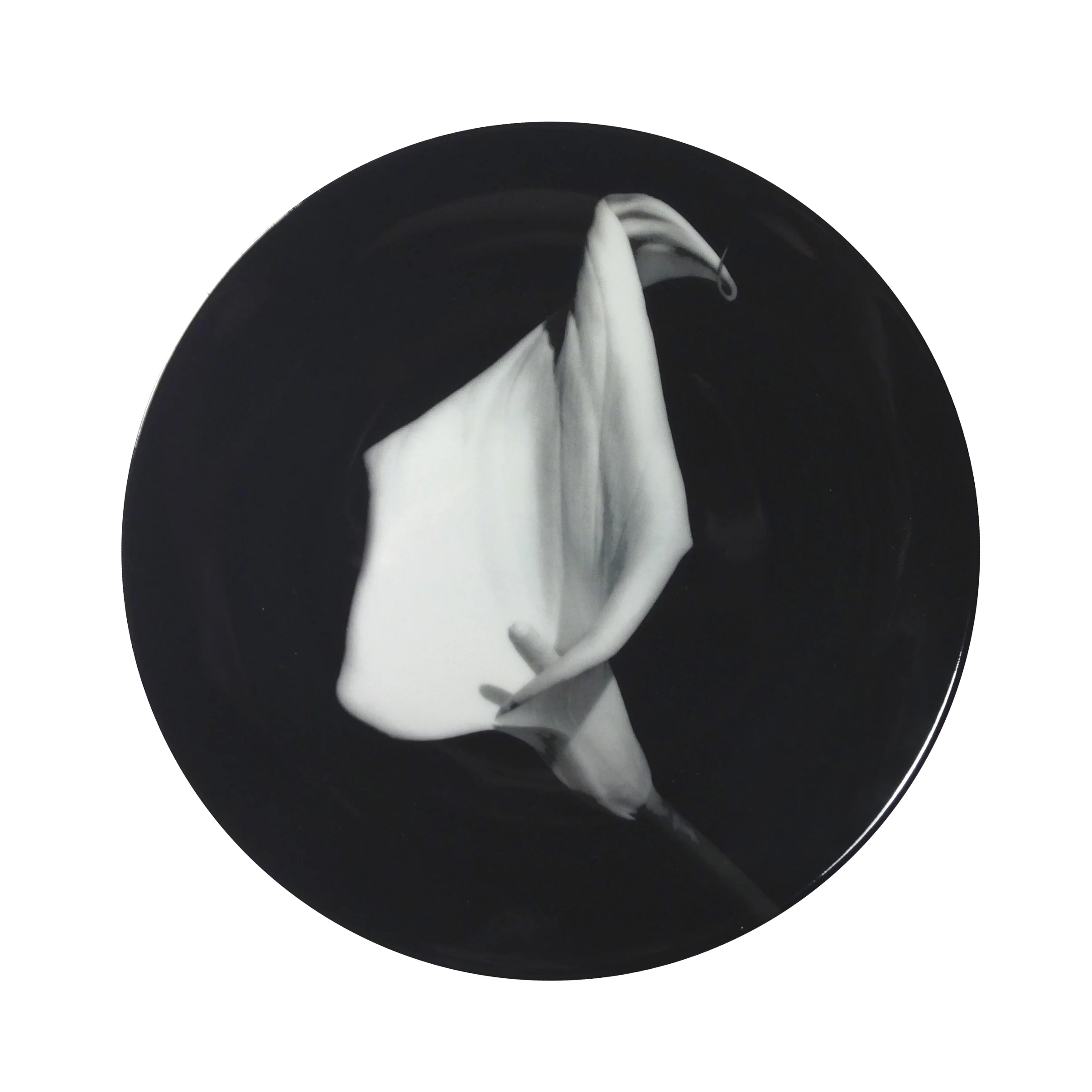 ROBERT MAPPLETHORPE "Small Calla Lily" PLATE - Image 2