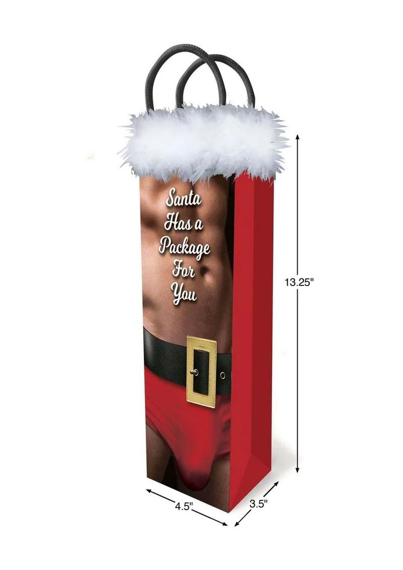 Santa Has A Big Package For You Gift Bag - Image 2