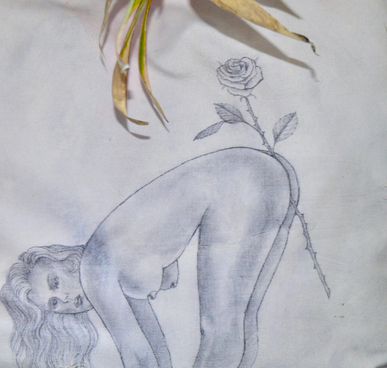 Scott Campbell Pillow for Henzel Studio - Image 5