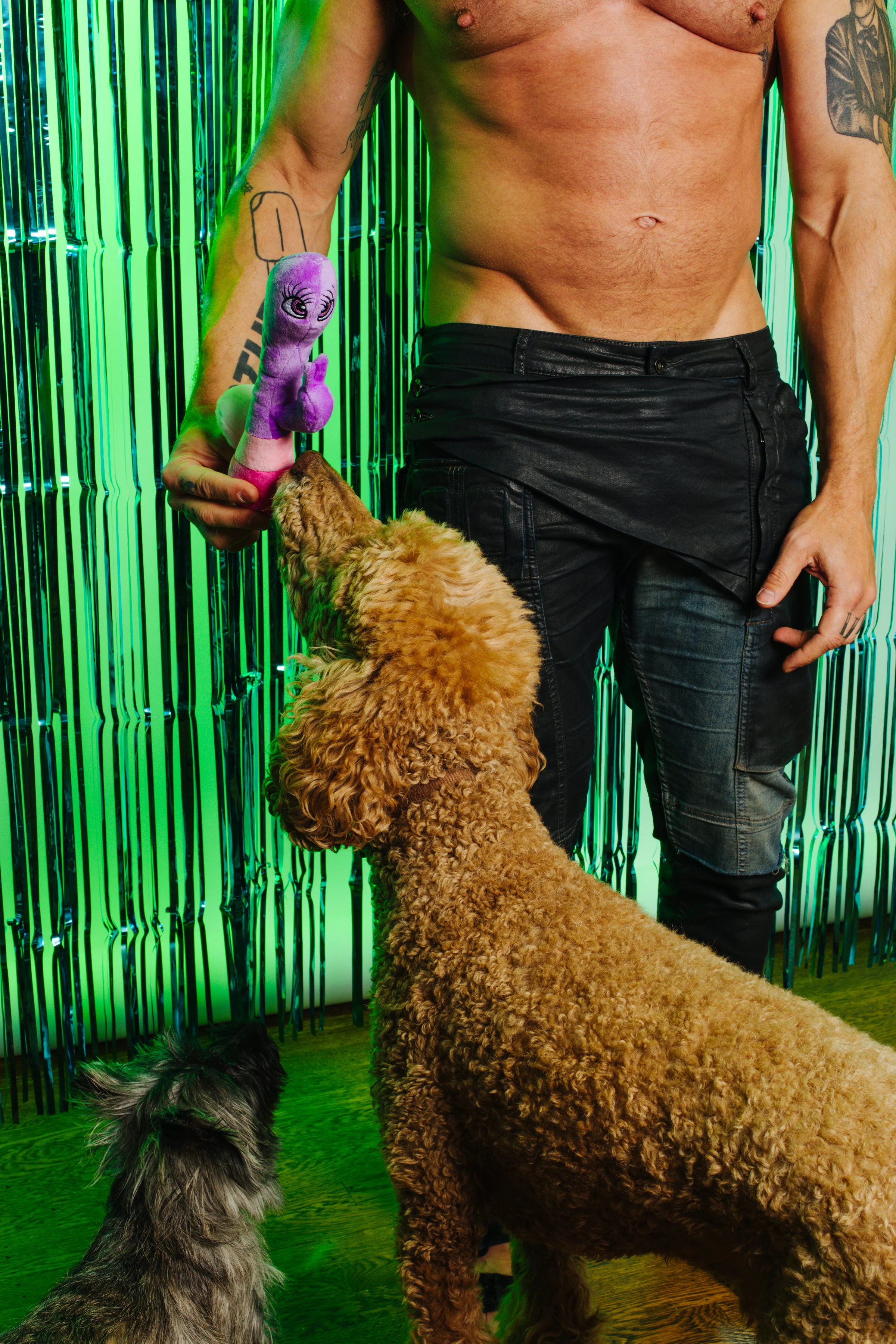 XXX PUPPY TOY: Bunny Vanderpup (Rabbit Vibrator) - Image 13