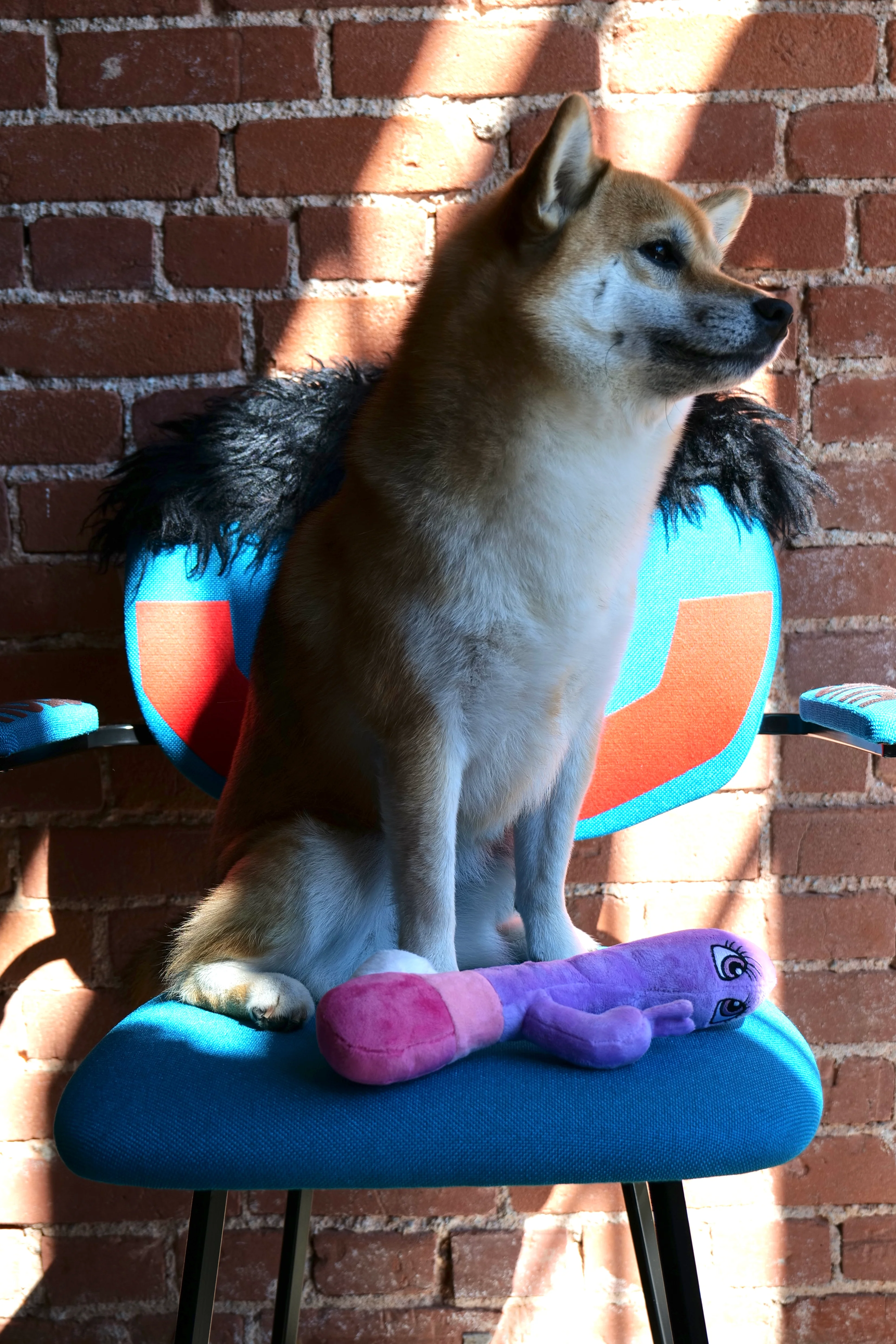 XXX PUPPY TOY: Bunny Vanderpup (Rabbit Vibrator) - Image 3