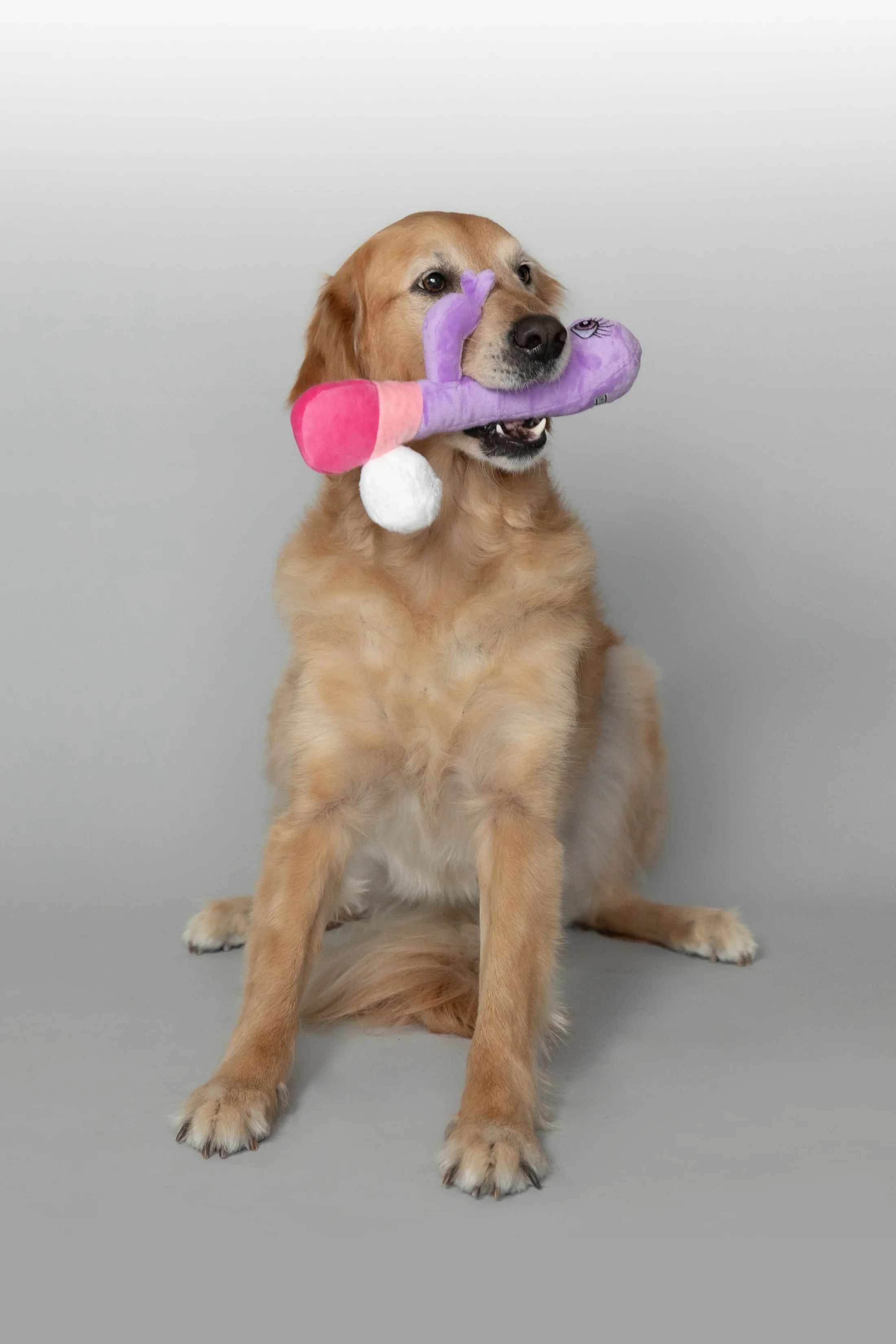 XXX PUPPY TOY: Bunny Vanderpup (Rabbit Vibrator) - Image 6