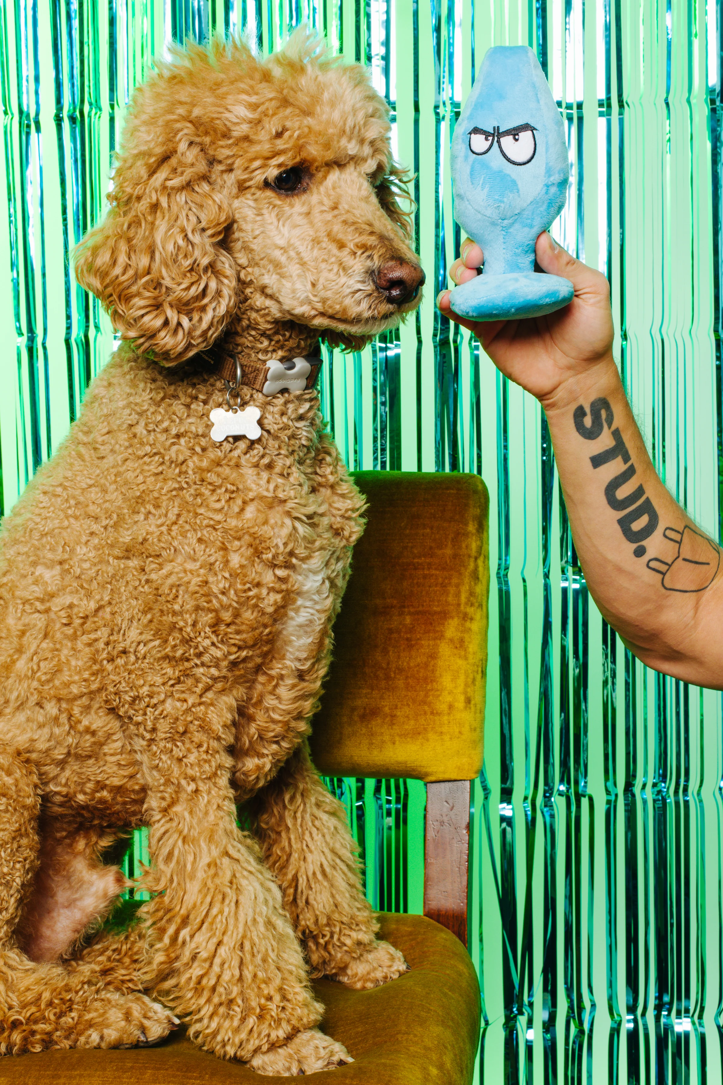 XXX PUPPY TOY: Mutt Plug McRuff (Butt Plug) - Image 2