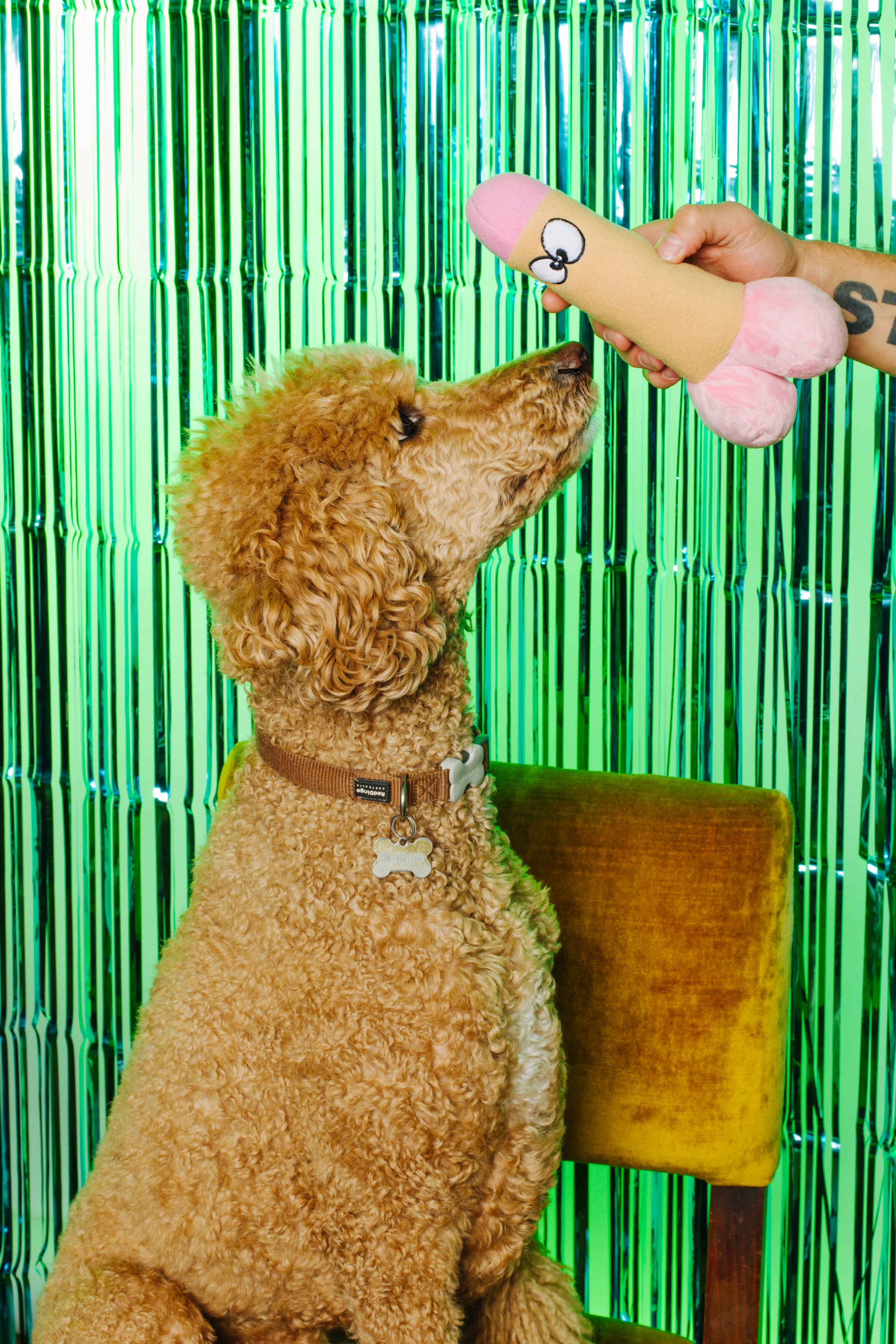 XXX PUPPY TOY: Peter Woofington (Dildo) - Image 3