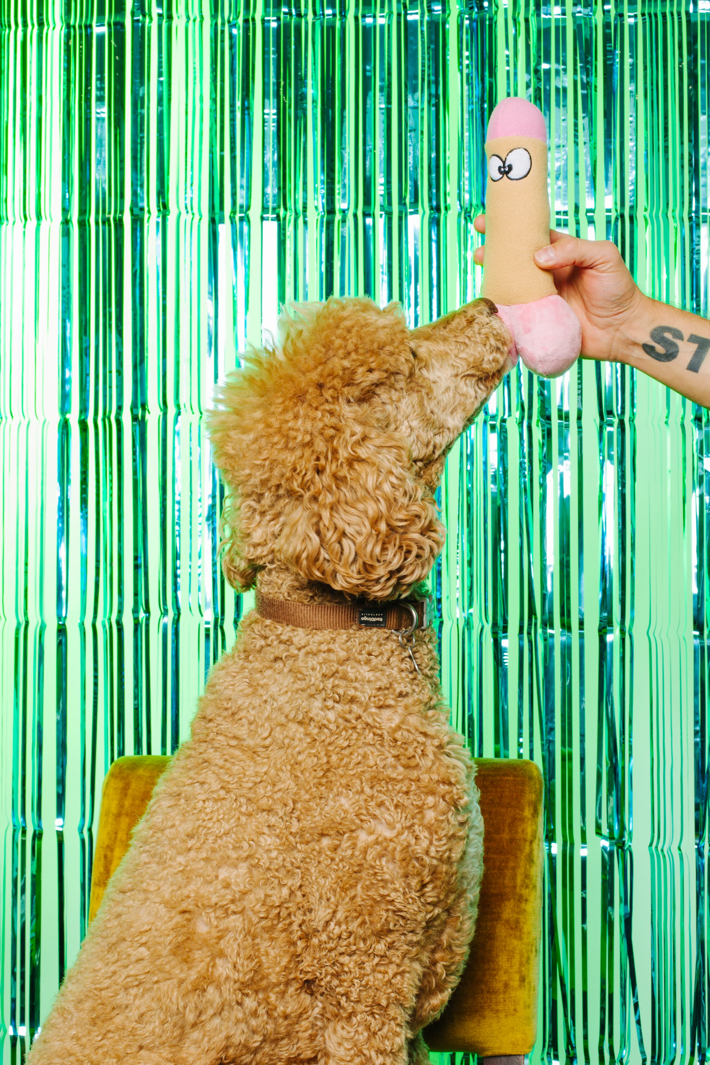 XXX PUPPY TOY: Peter Woofington (Dildo) - Image 4