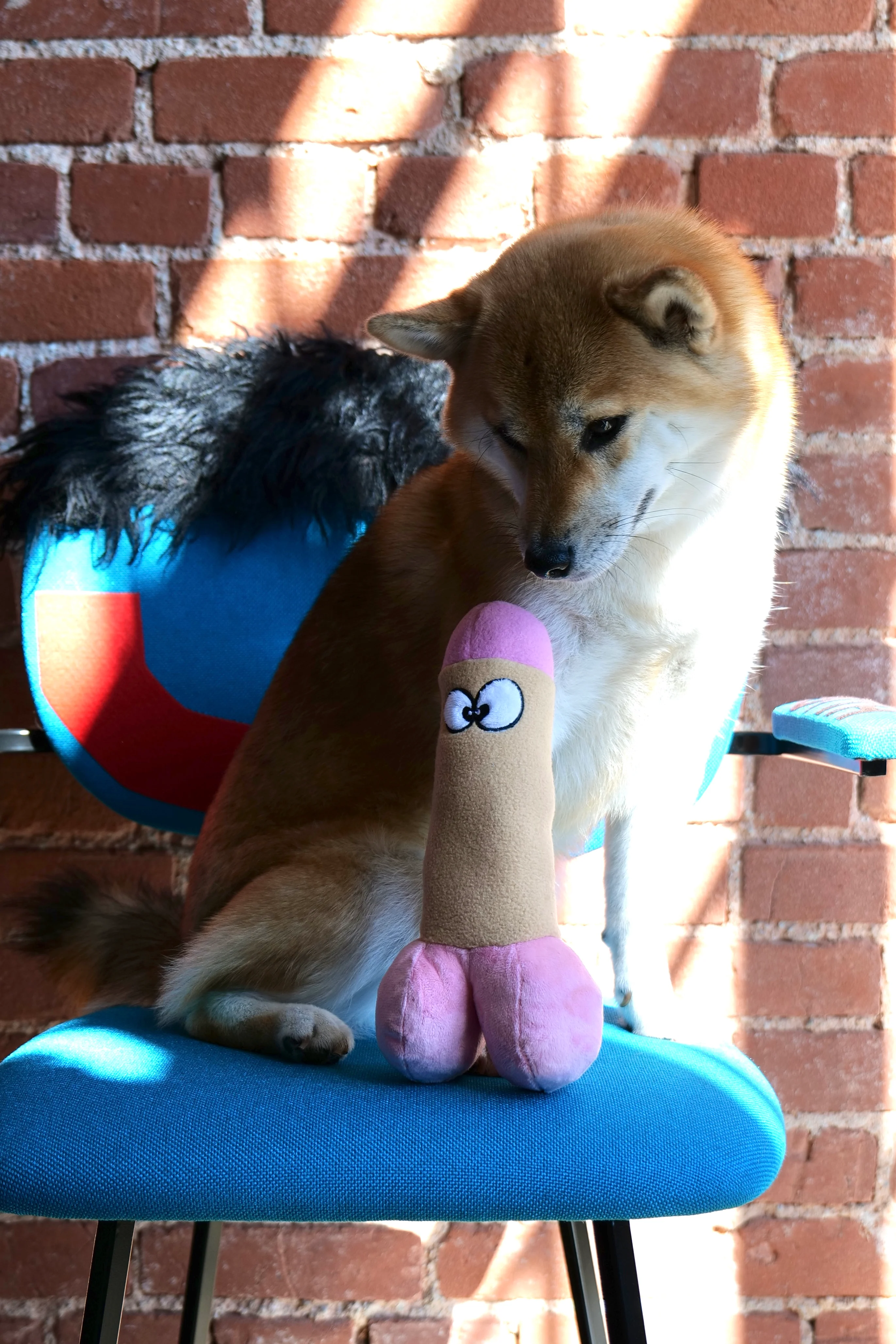 XXX PUPPY TOY: Peter Woofington (Dildo) - Image 6