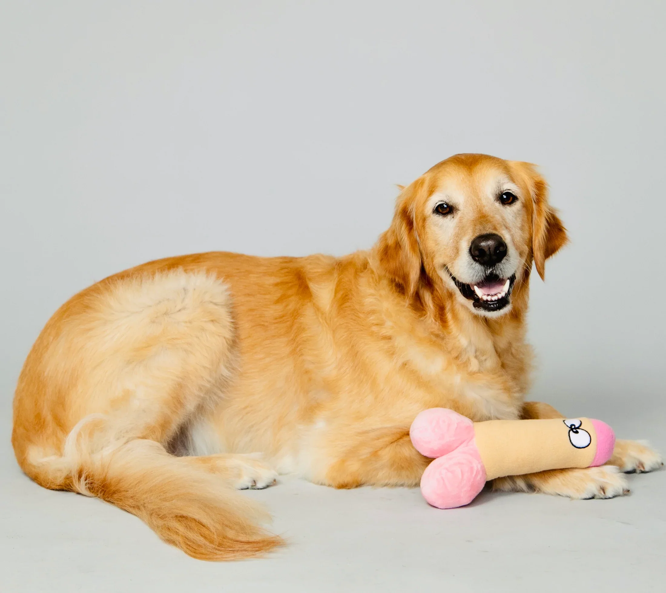XXX PUPPY TOY: Peter Woofington (Dildo) - Image 8