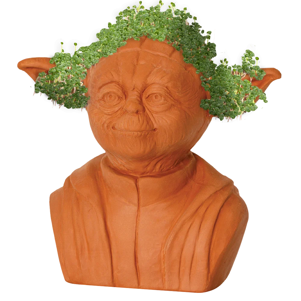 STAR WARS™ YODA CHIA PET - Image 2