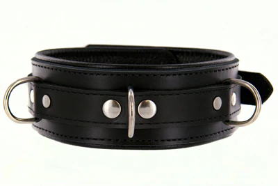 Premium Locking Collar by Strict Leather - Image 3