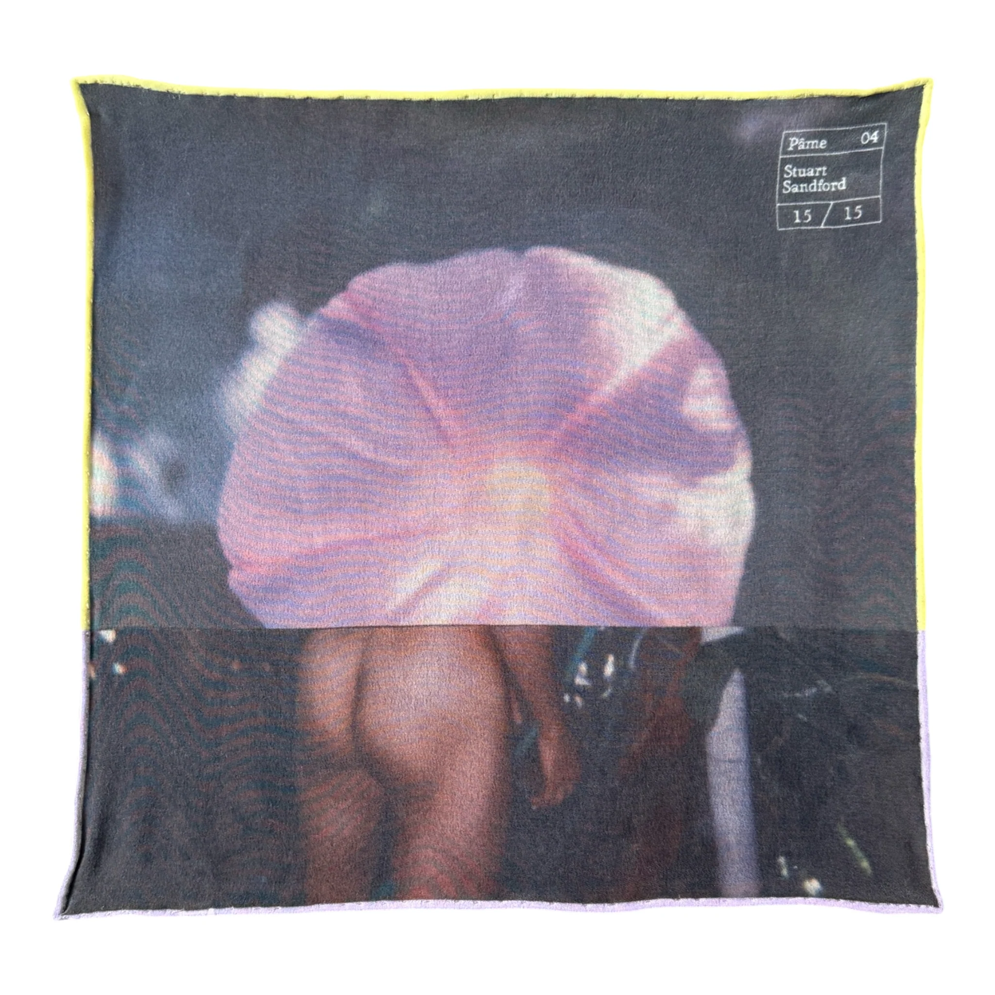 Stuart Sandford, Polaroid Collage XIX, 2021
