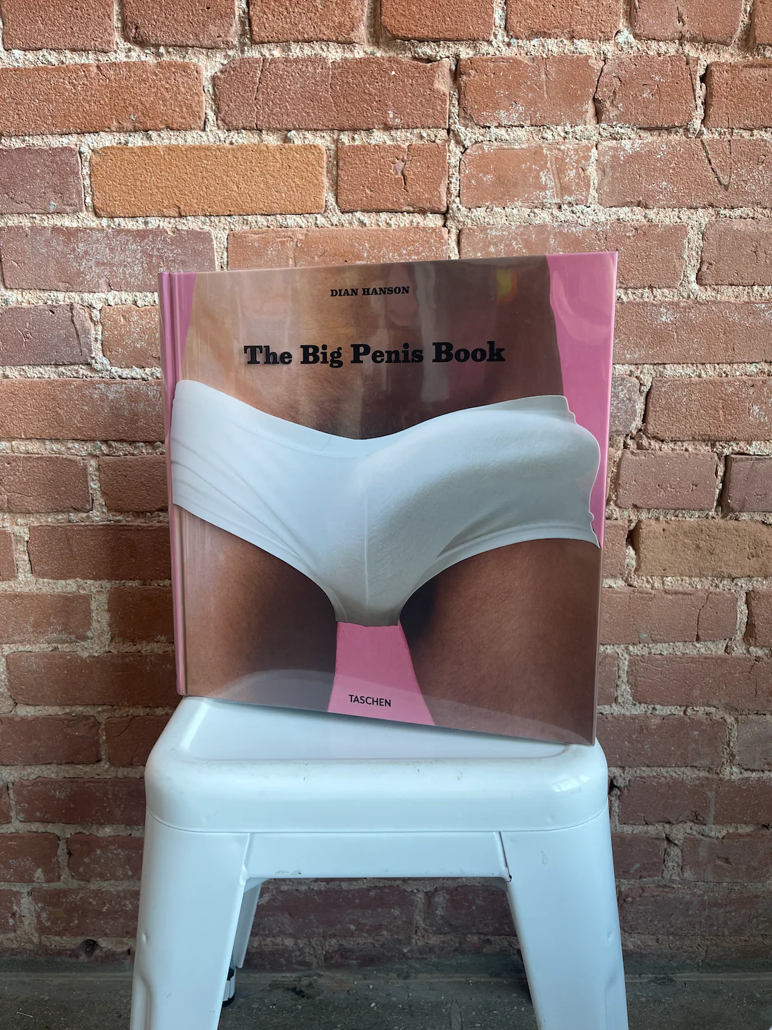 The Big Penis Book - Image 10