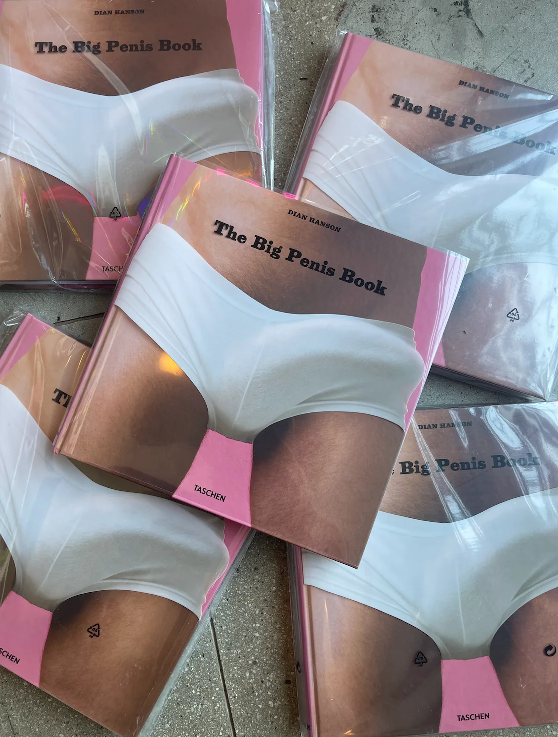The Big Penis Book - Image 2