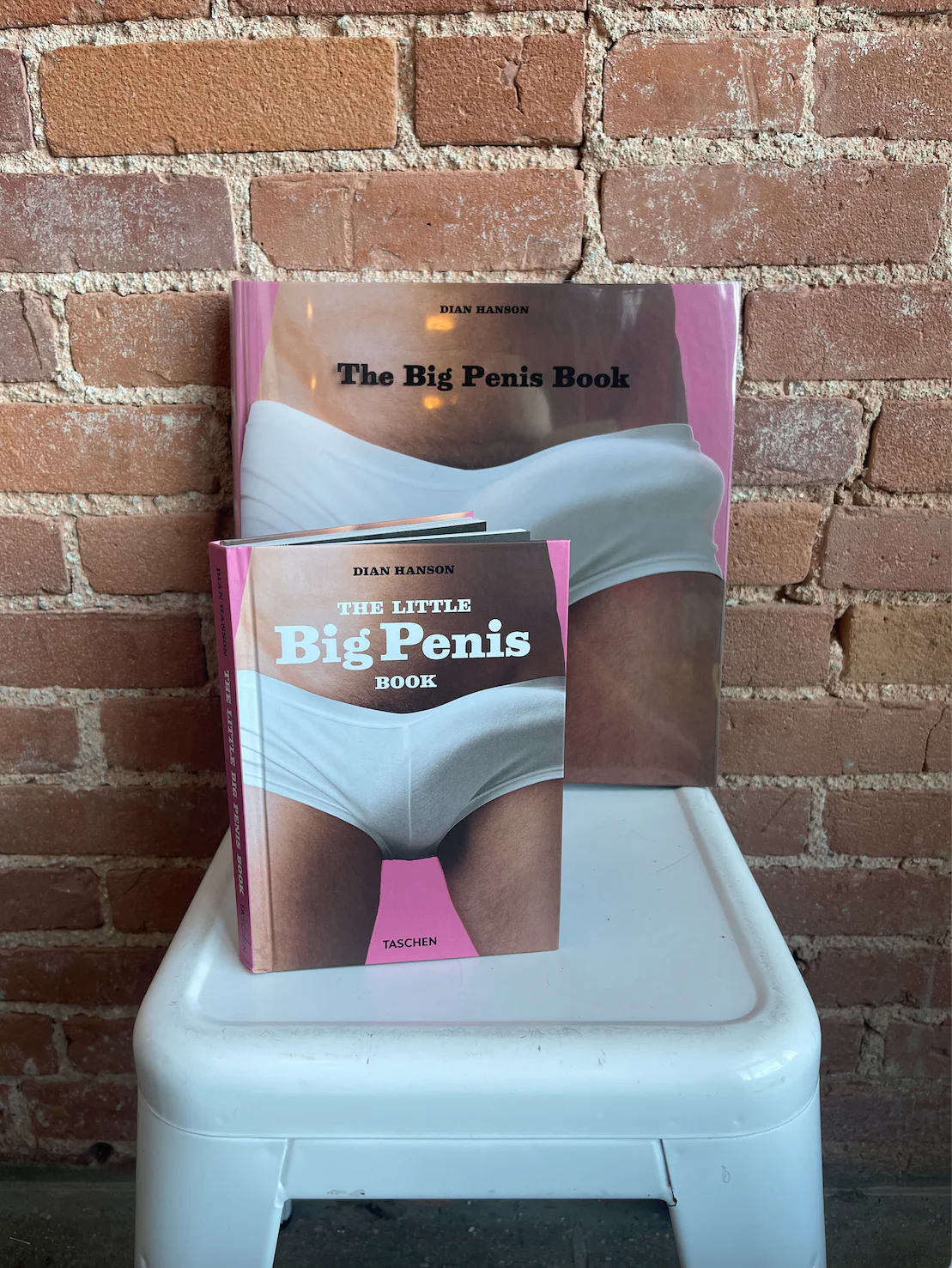 The Big Penis Book - Image 9