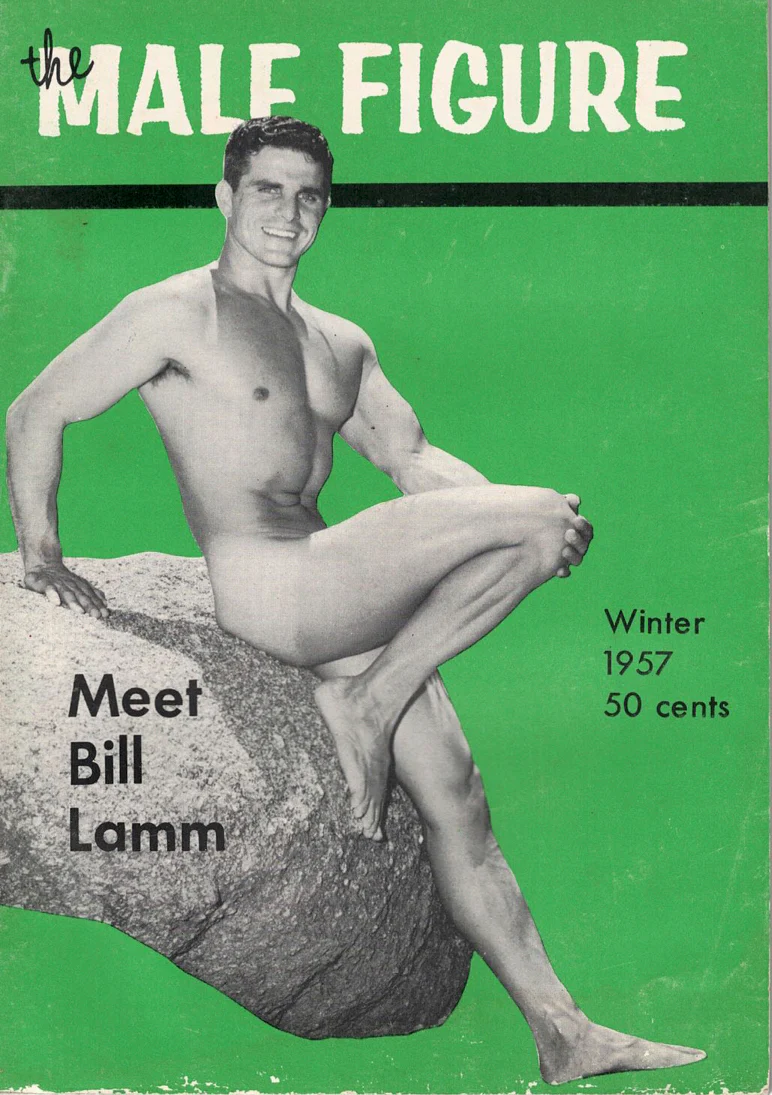 The Male Figure Volume 7 - Image 2