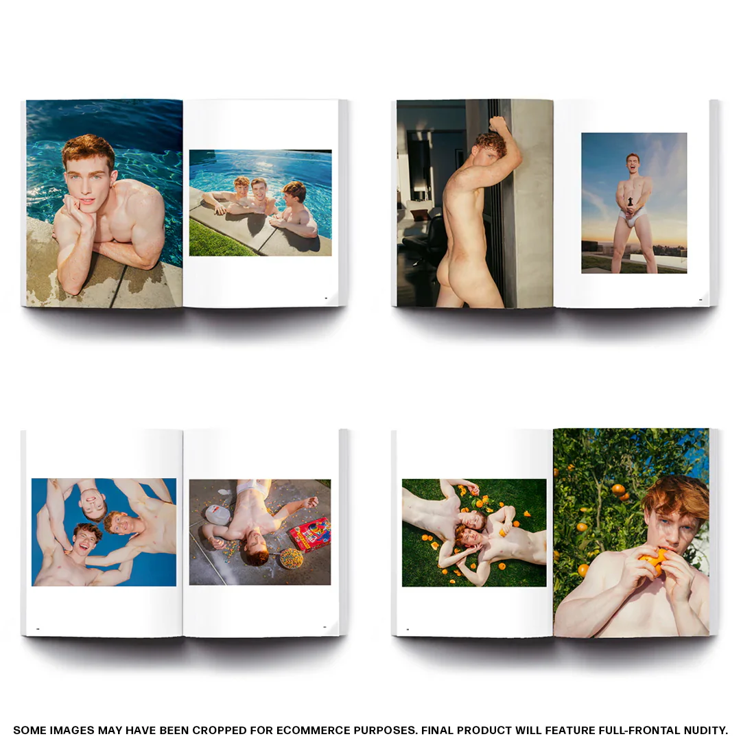 The Red Hot Desire Art Book - Image 2