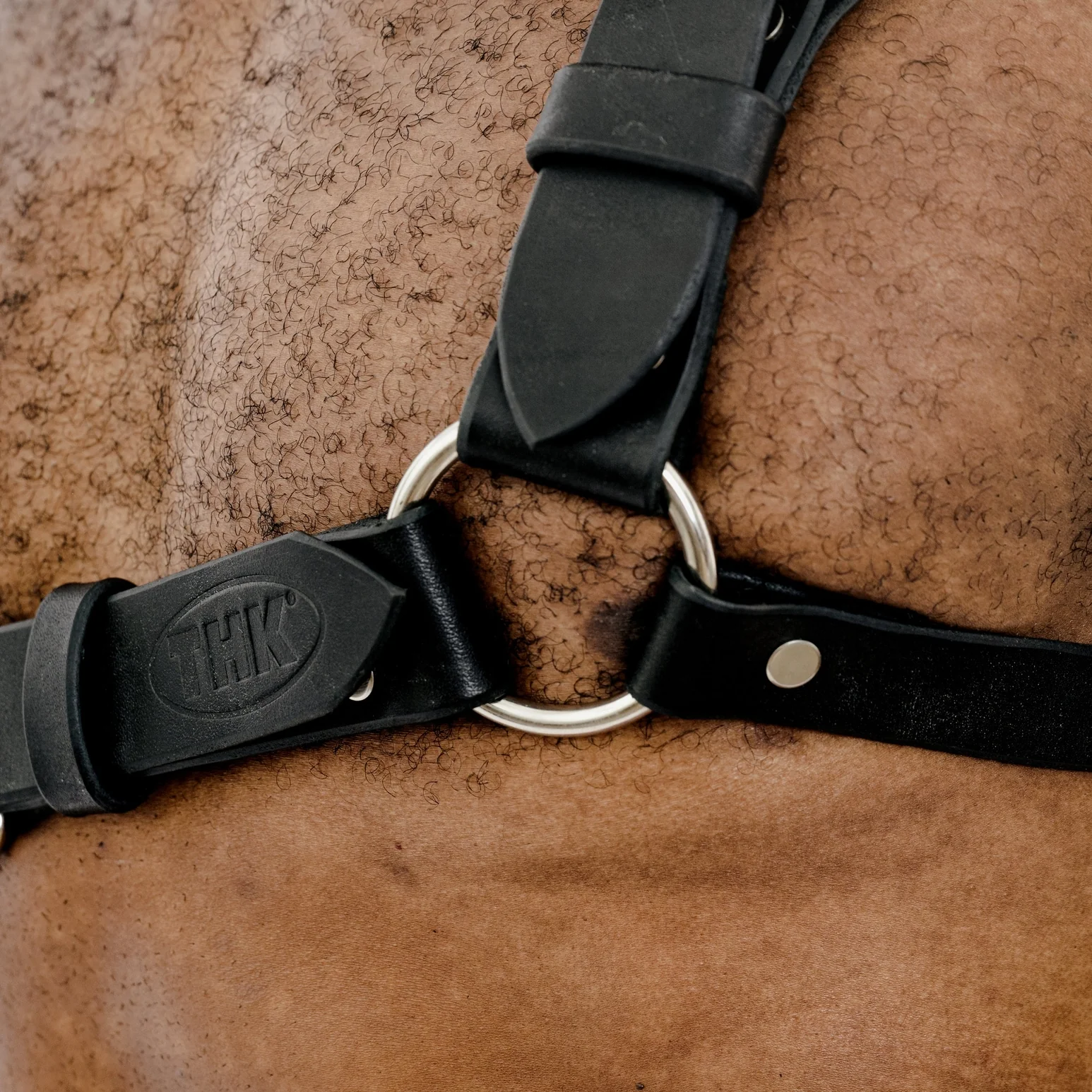 THK Sling Harness - Black - Image 2