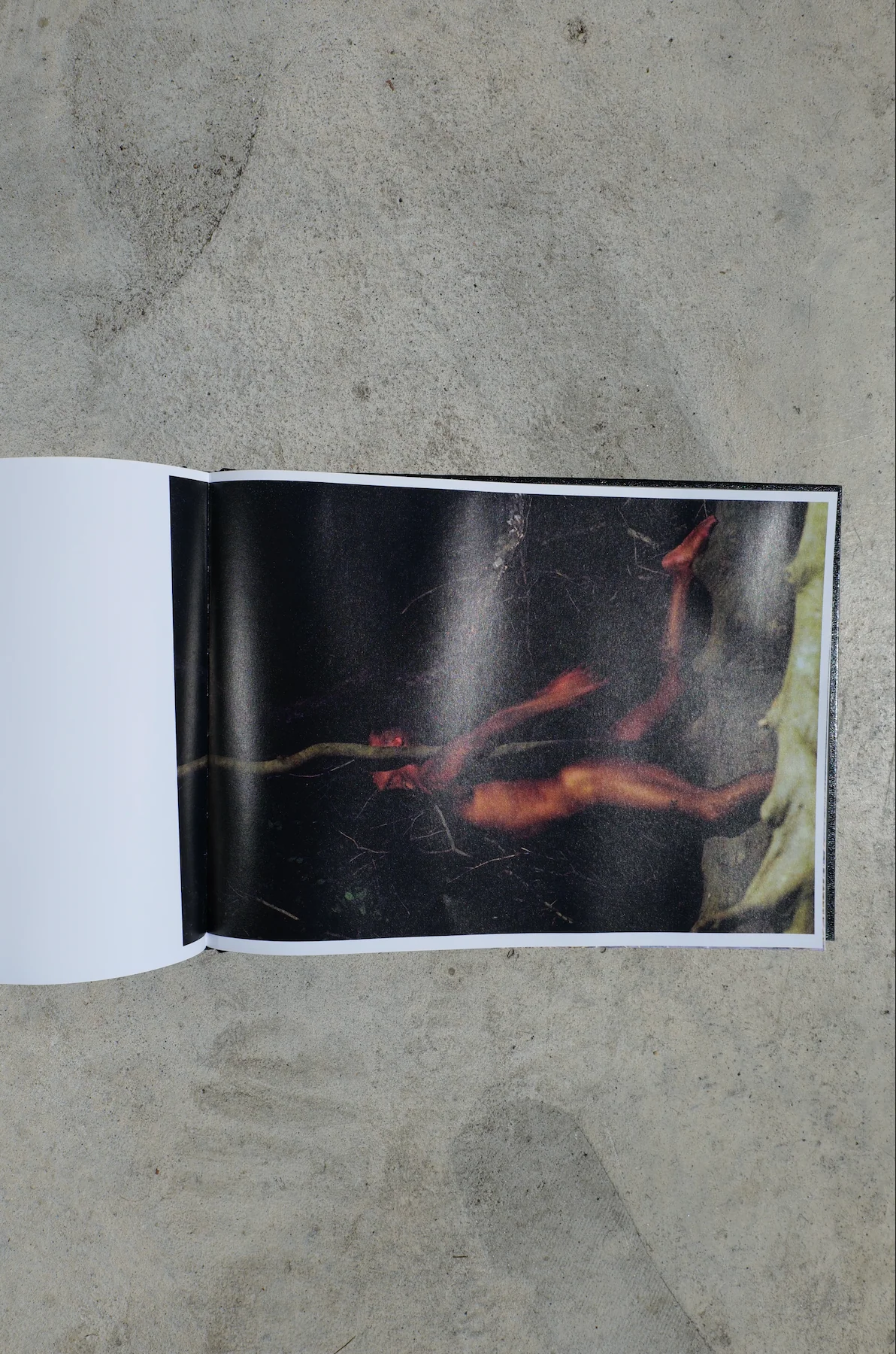 TO DIE ALIVE by Matthew Leifheit - Image 15