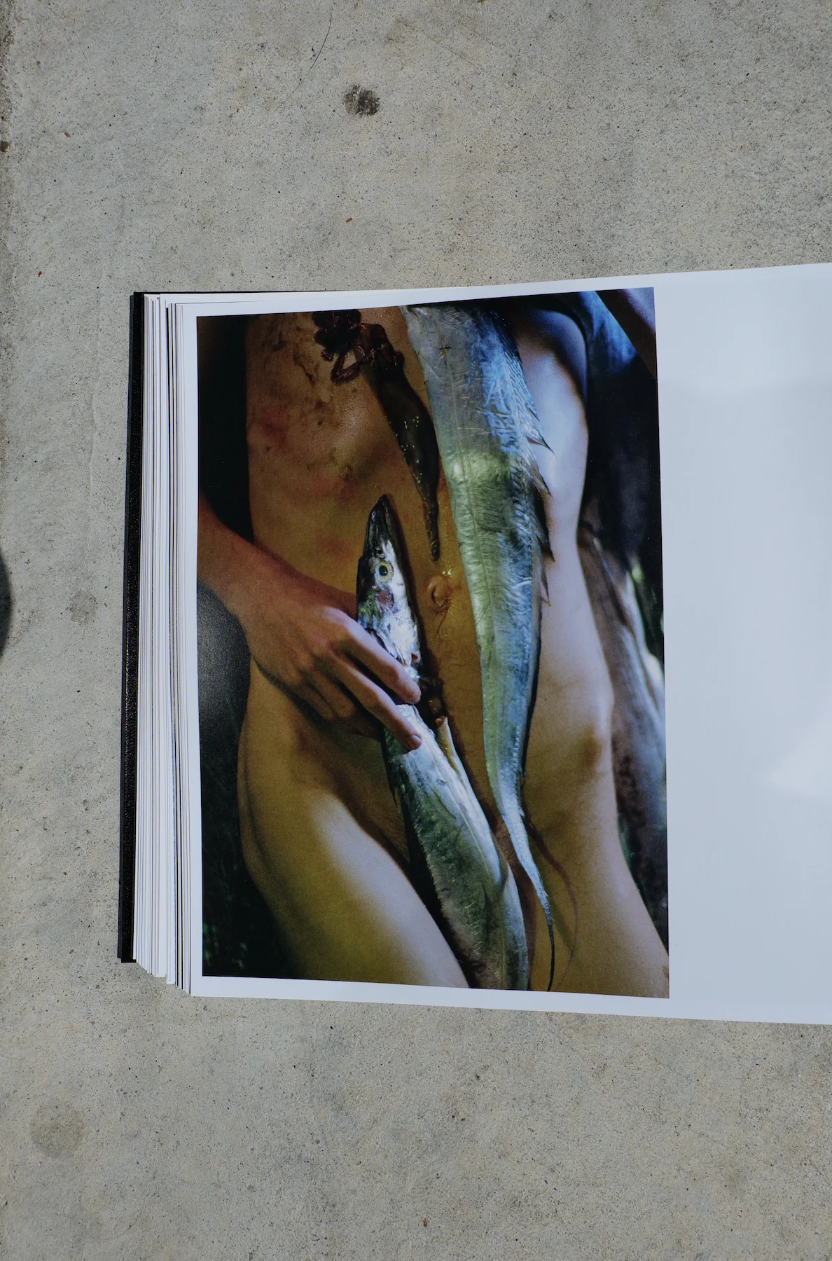 TO DIE ALIVE by Matthew Leifheit - Image 16