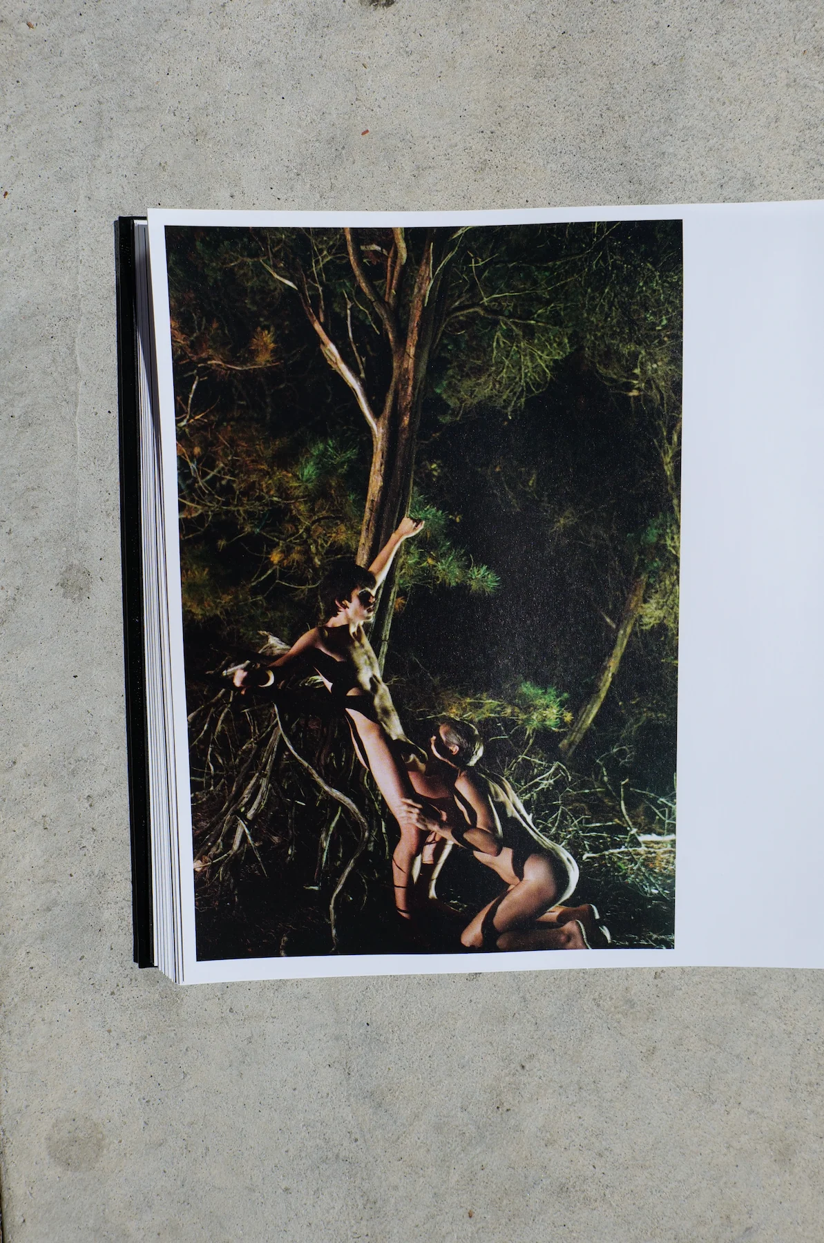 TO DIE ALIVE by Matthew Leifheit - Image 20