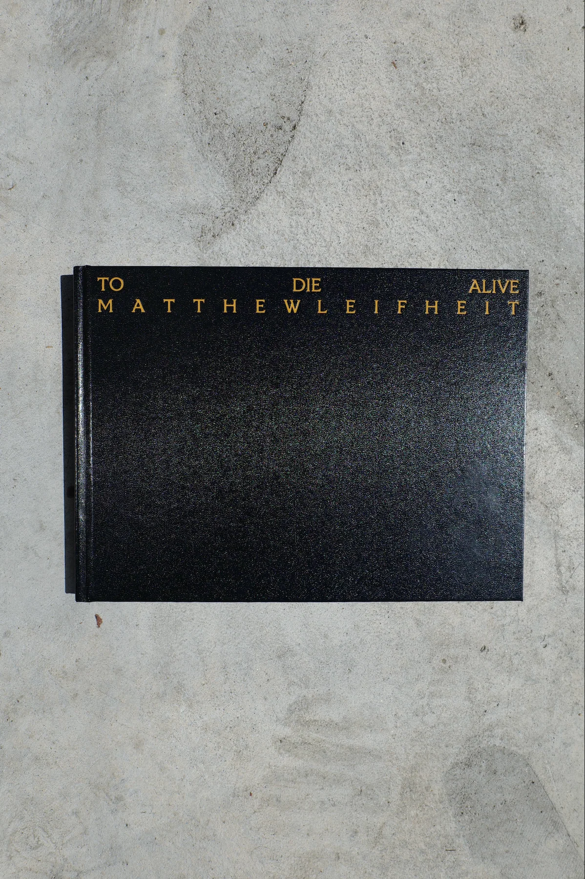TO DIE ALIVE by Matthew Leifheit - Image 8