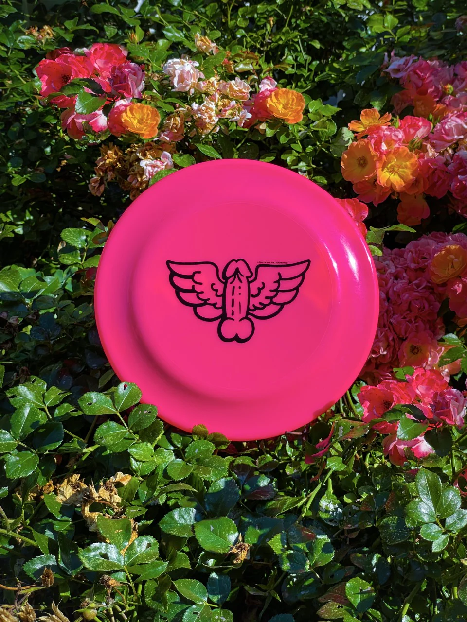 Tom of Finland Flying Cock Frisbee by Peachy Kings - HOT PINK - Image 2