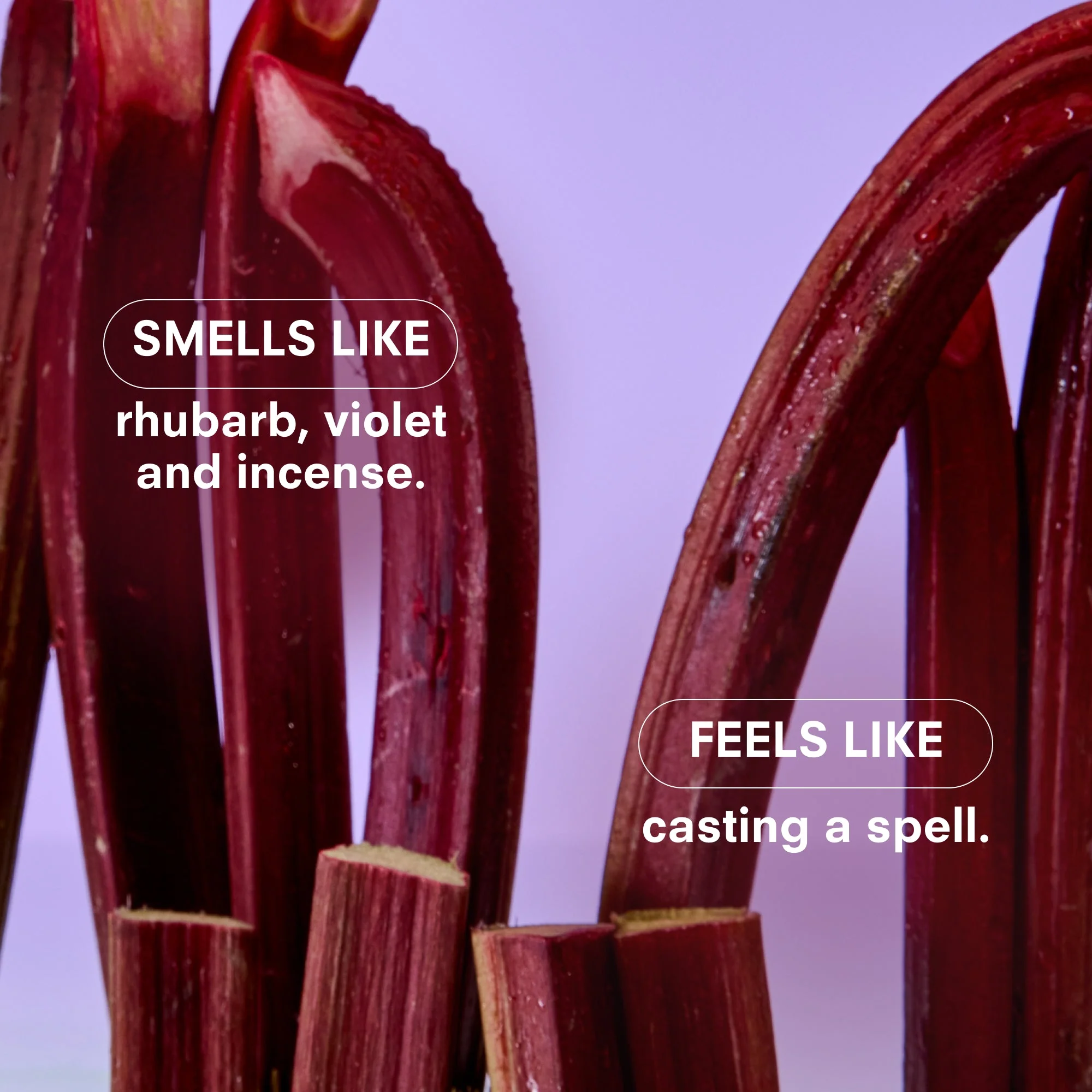 VIOLET ENDS Fragrance by Boy Smells - Image 4