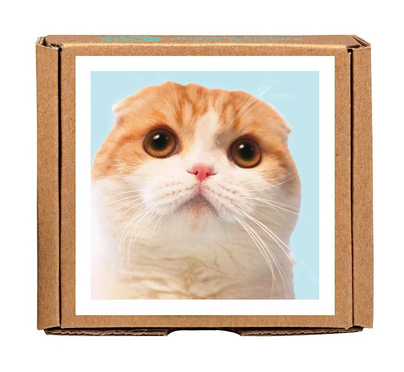 Waffles the Cat GreenGift-Notes - Image 2