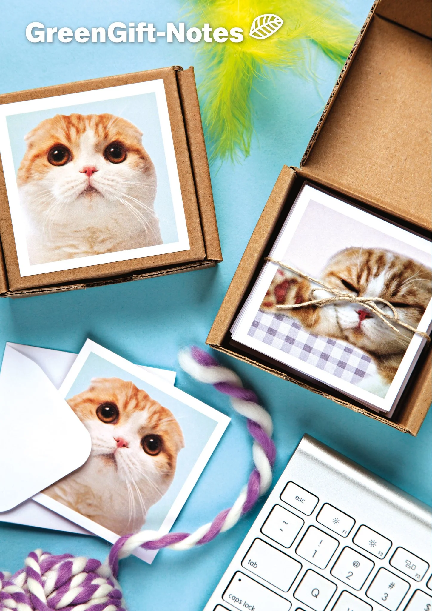 Waffles the Cat GreenGift-Notes - Image 5