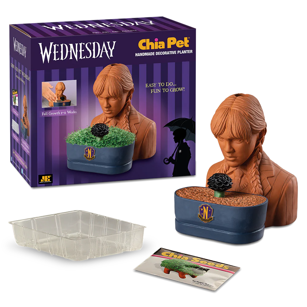 WEDNESDAY CHIA PET